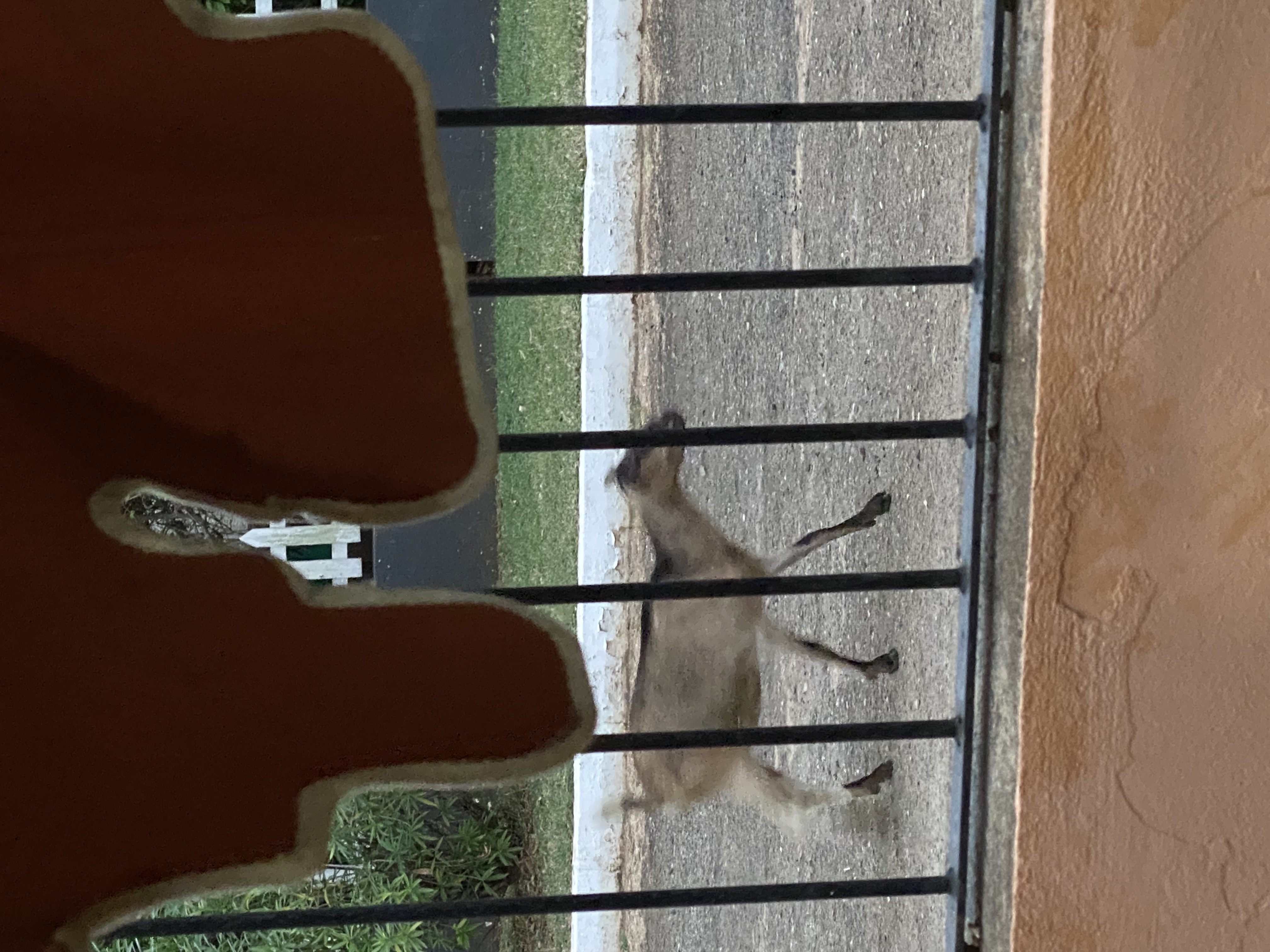 IMG_6707-121222-0542pm