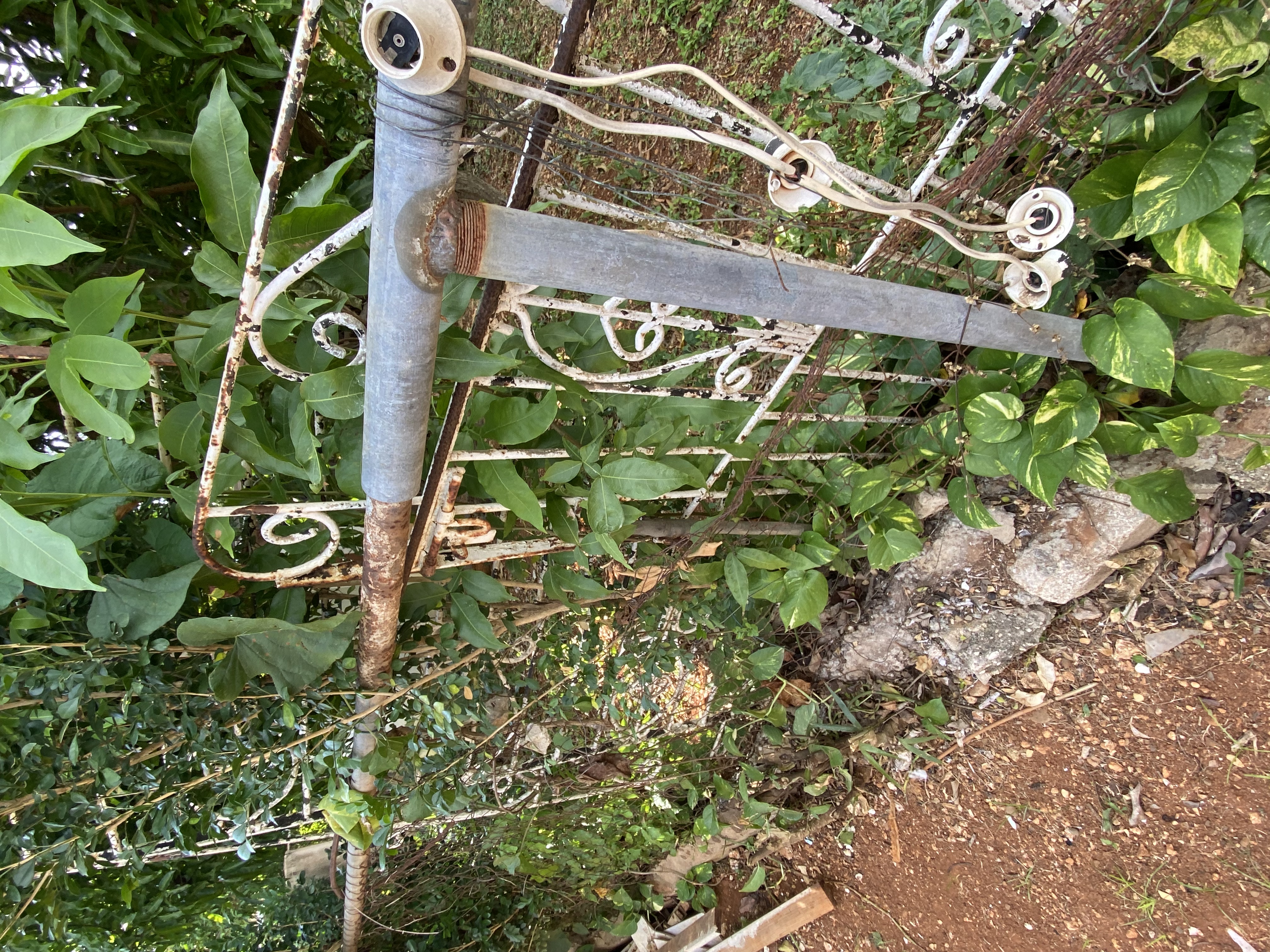 IMG_6715-121622-0245pm