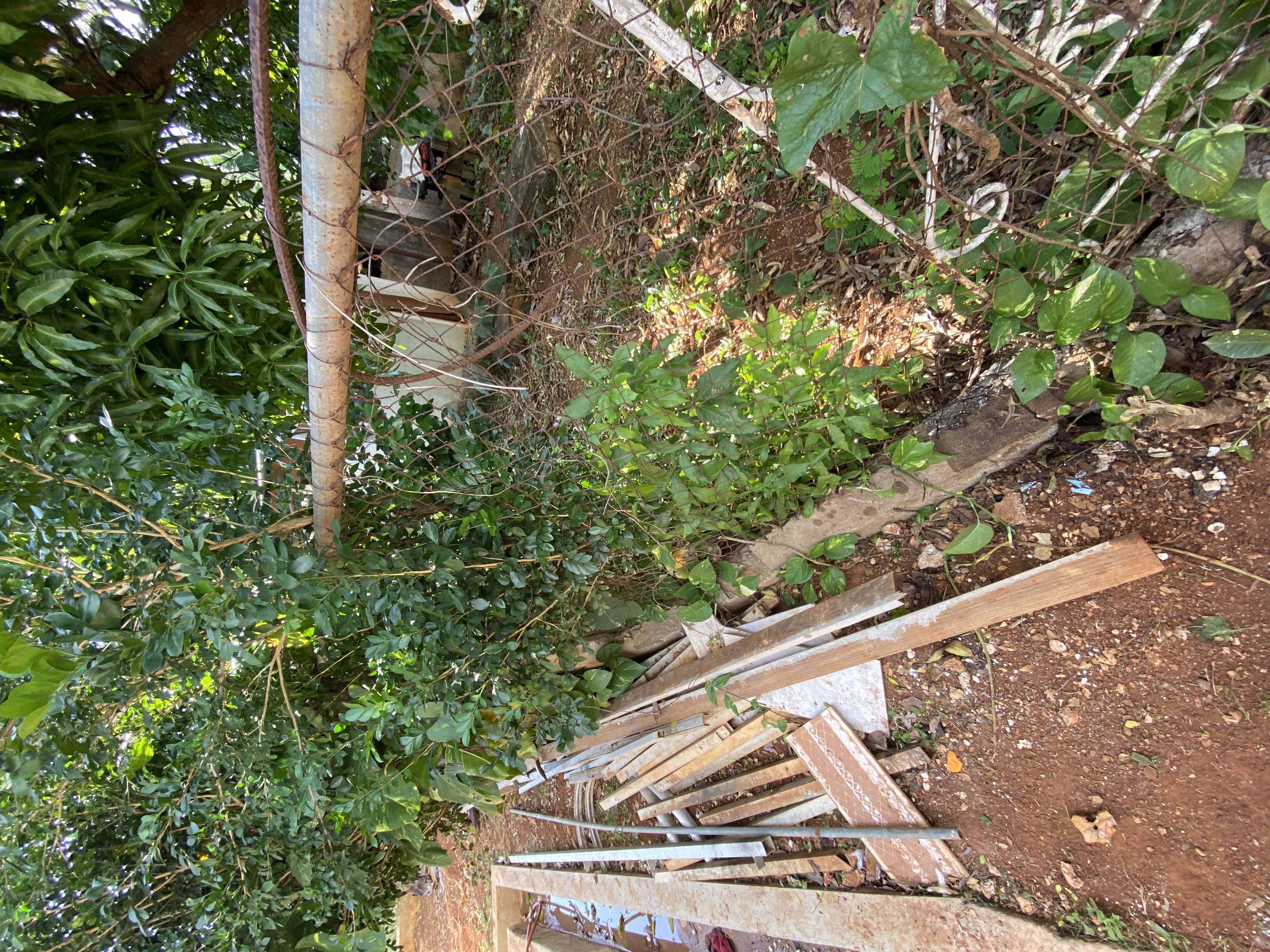 IMG_6717-121622-0245pm