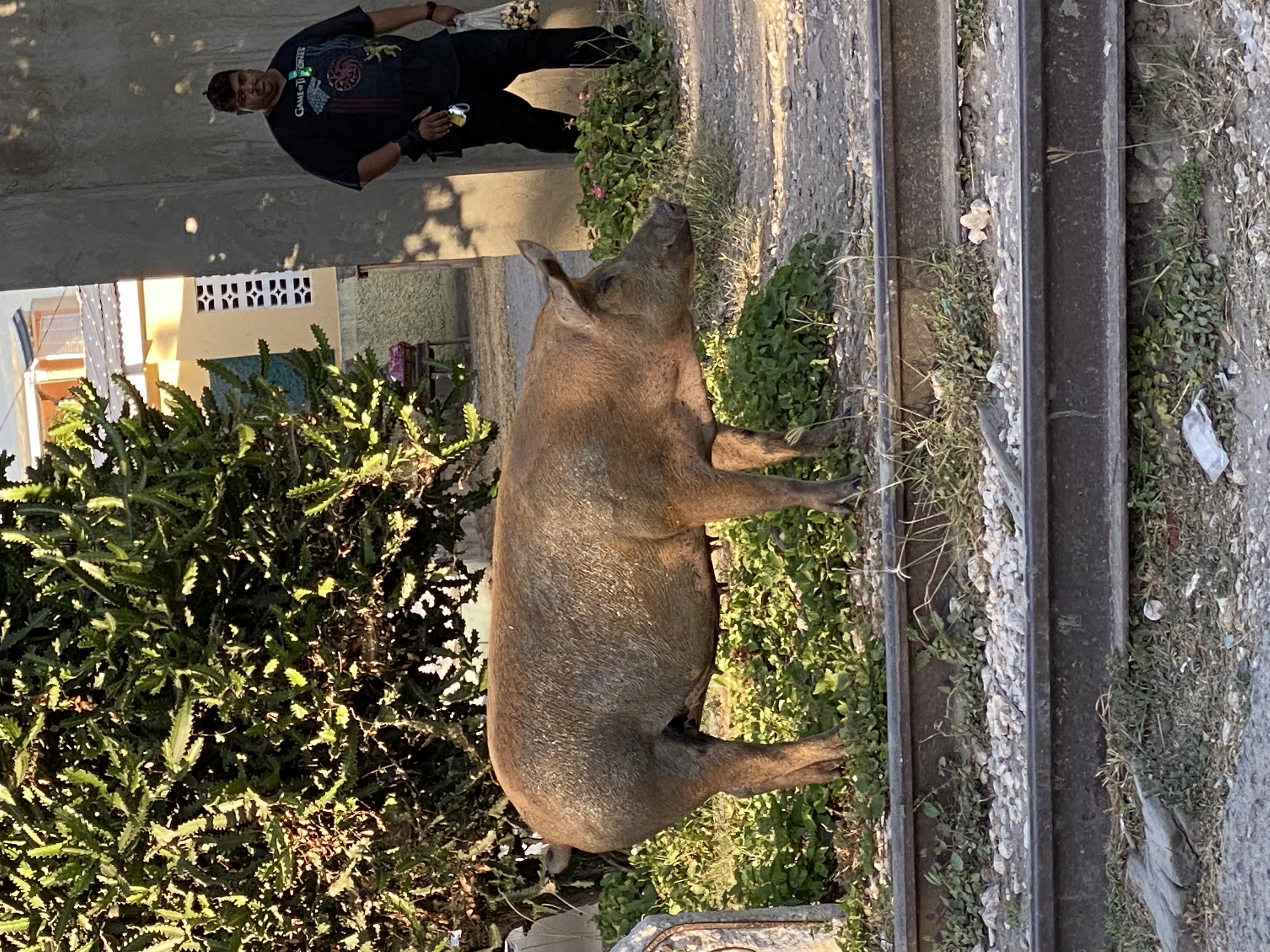 IMG_6753-123022-0431pm