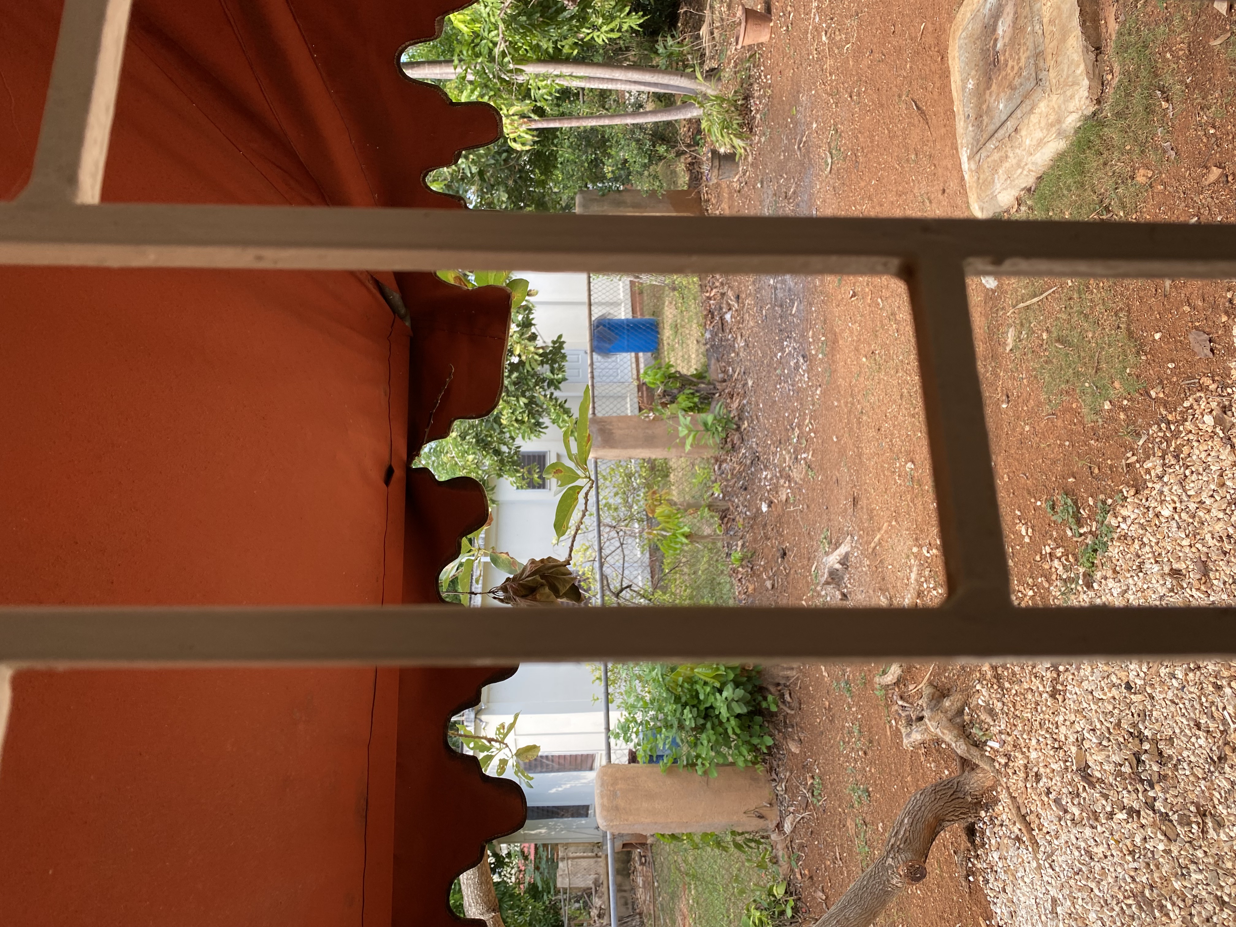 IMG_6810-010523-0314pm