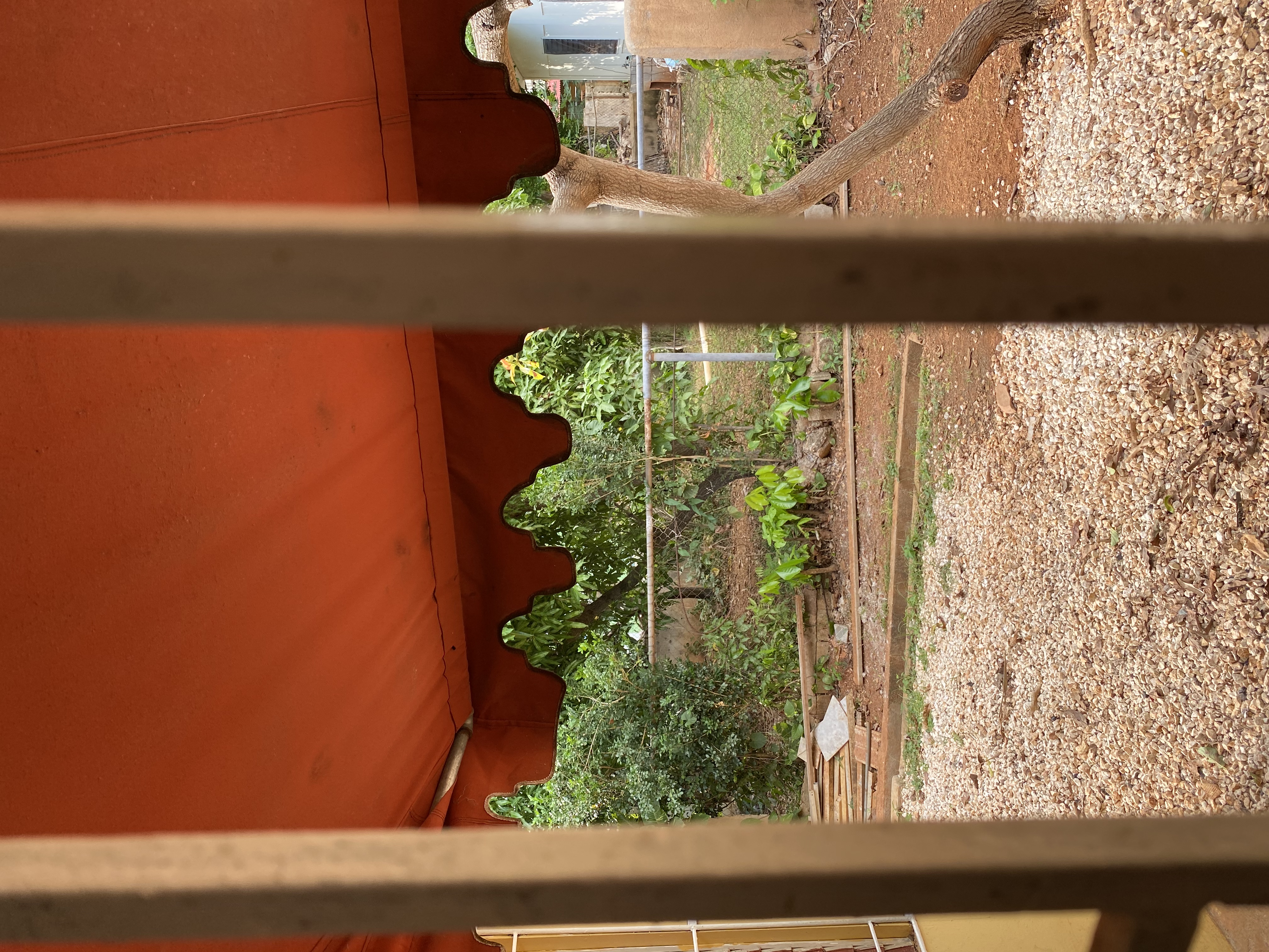 IMG_6811-010523-0314pm