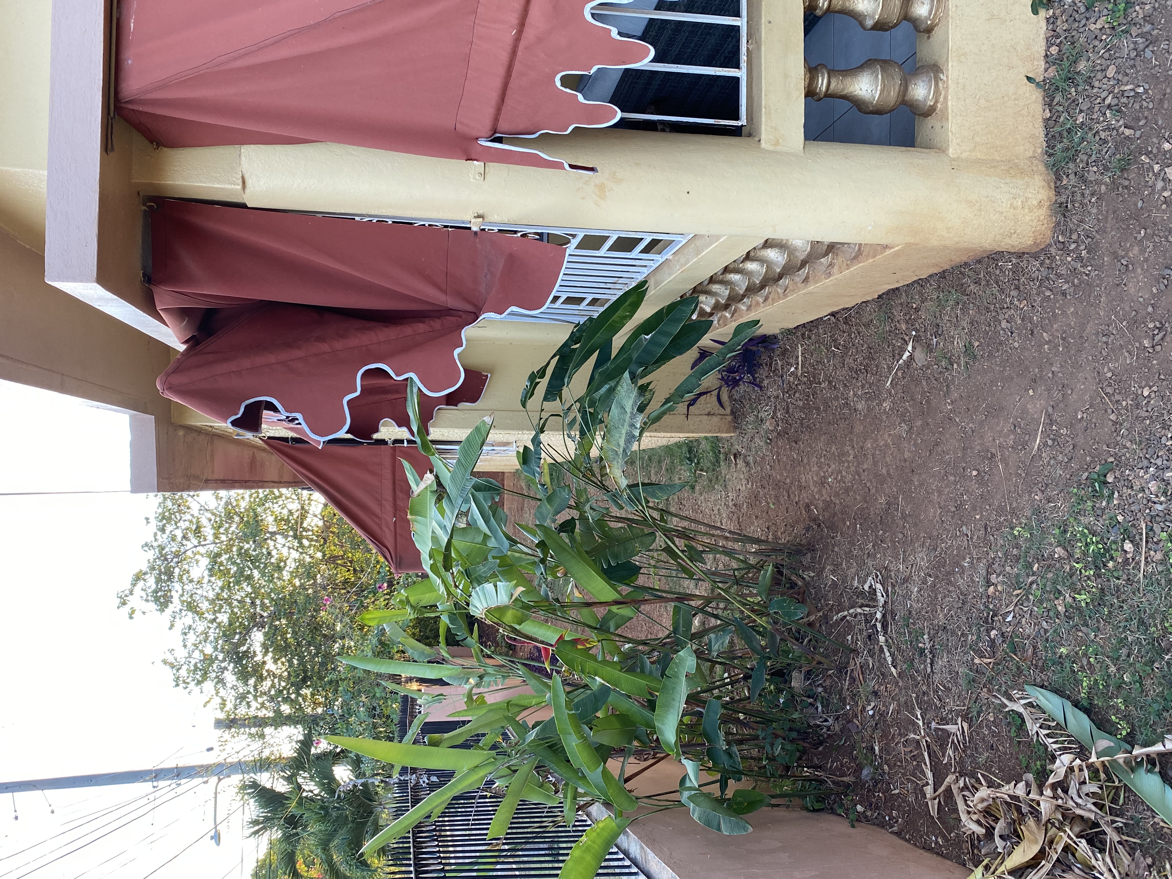 IMG_6814-010523-0518pm