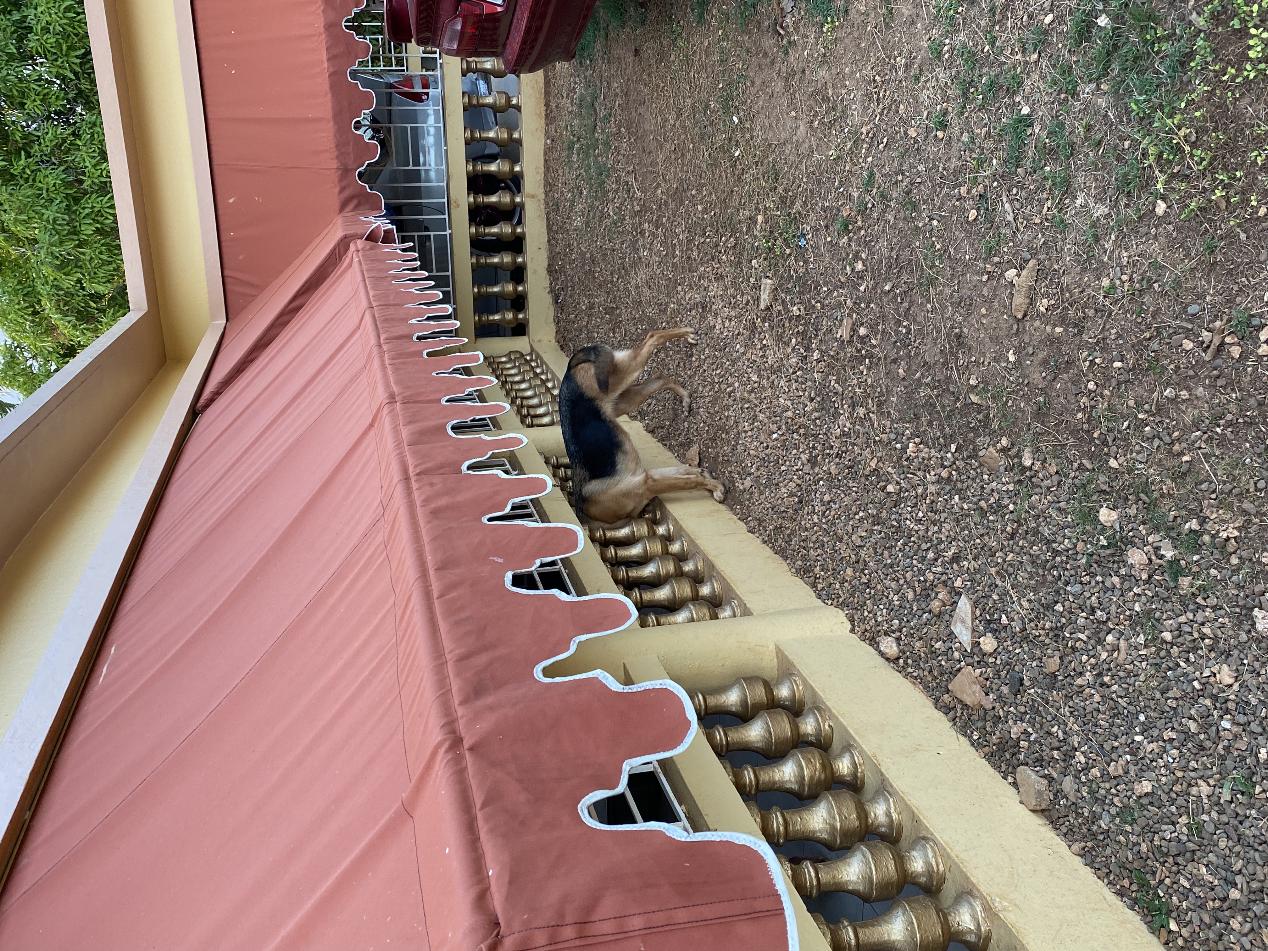 IMG_6815-010523-0518pm