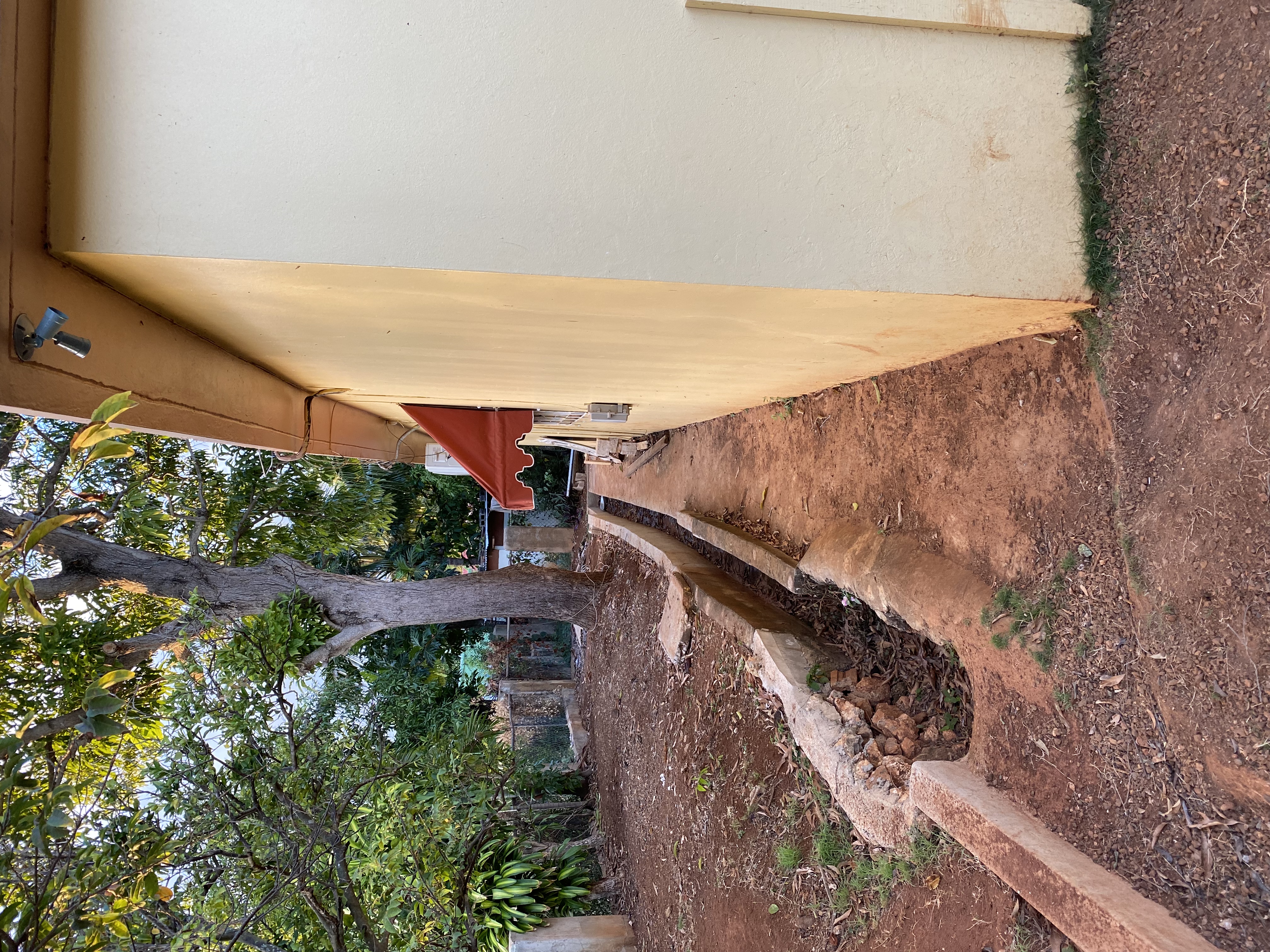 IMG_6818-010523-0523pm