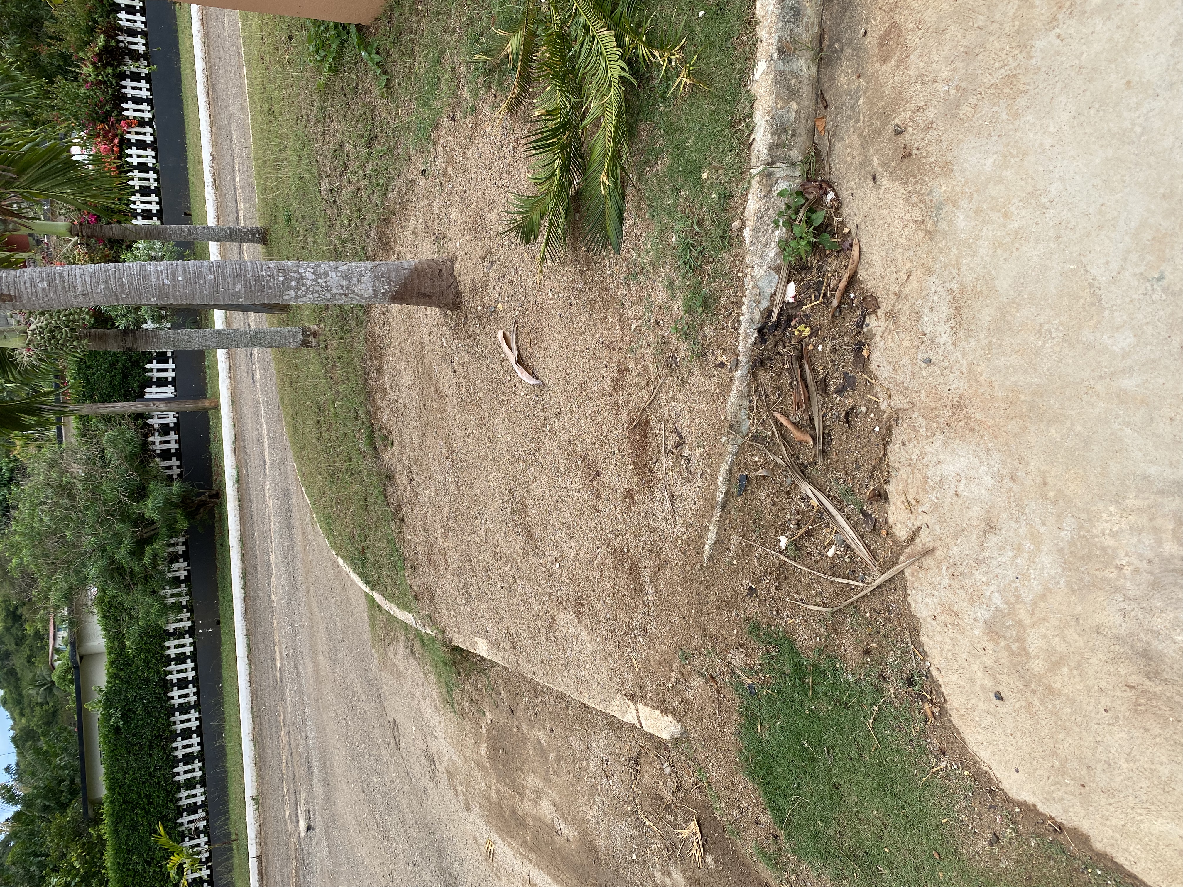 IMG_6834-010823-0418pm