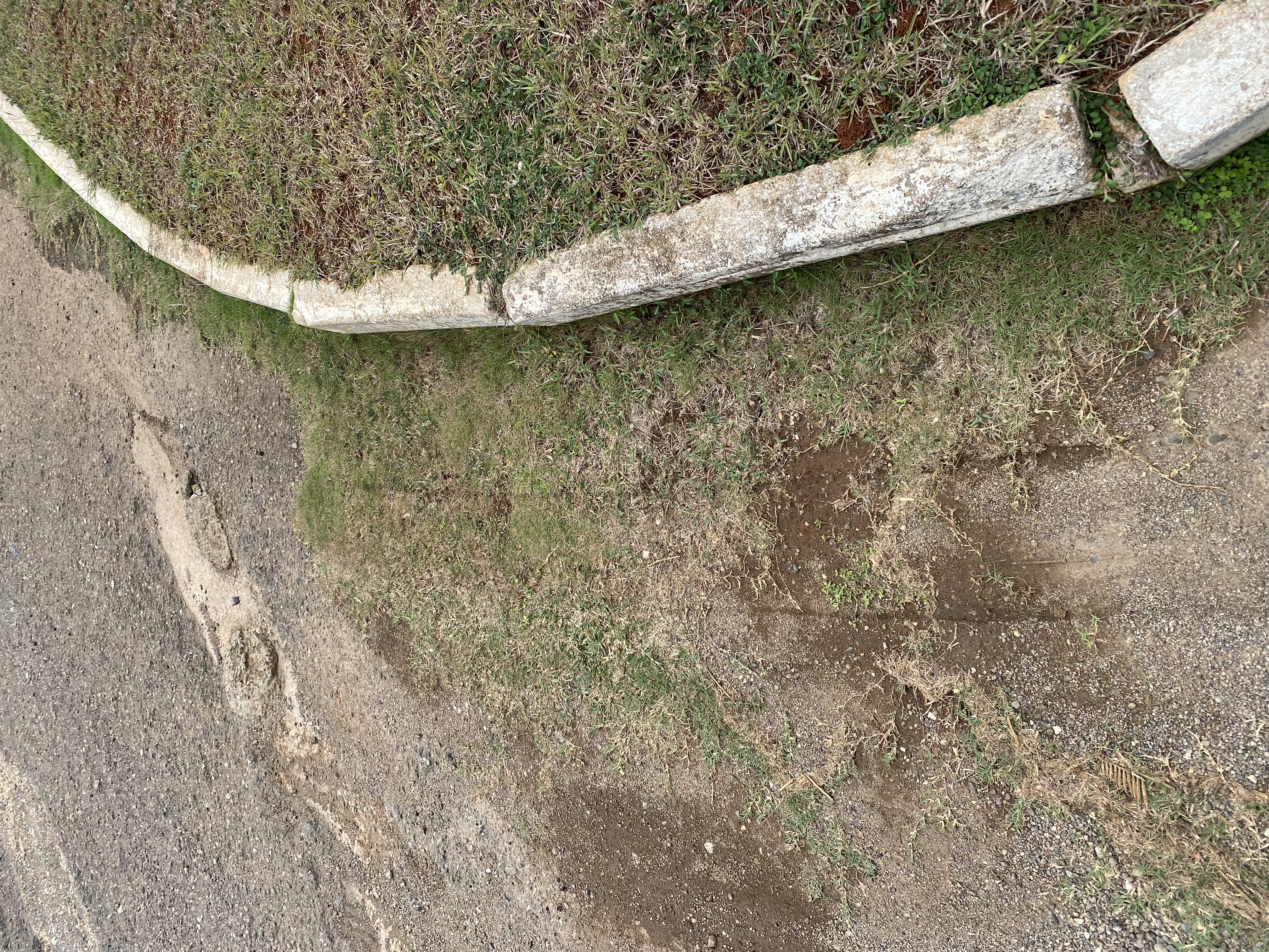 IMG_6837-010823-0418pm