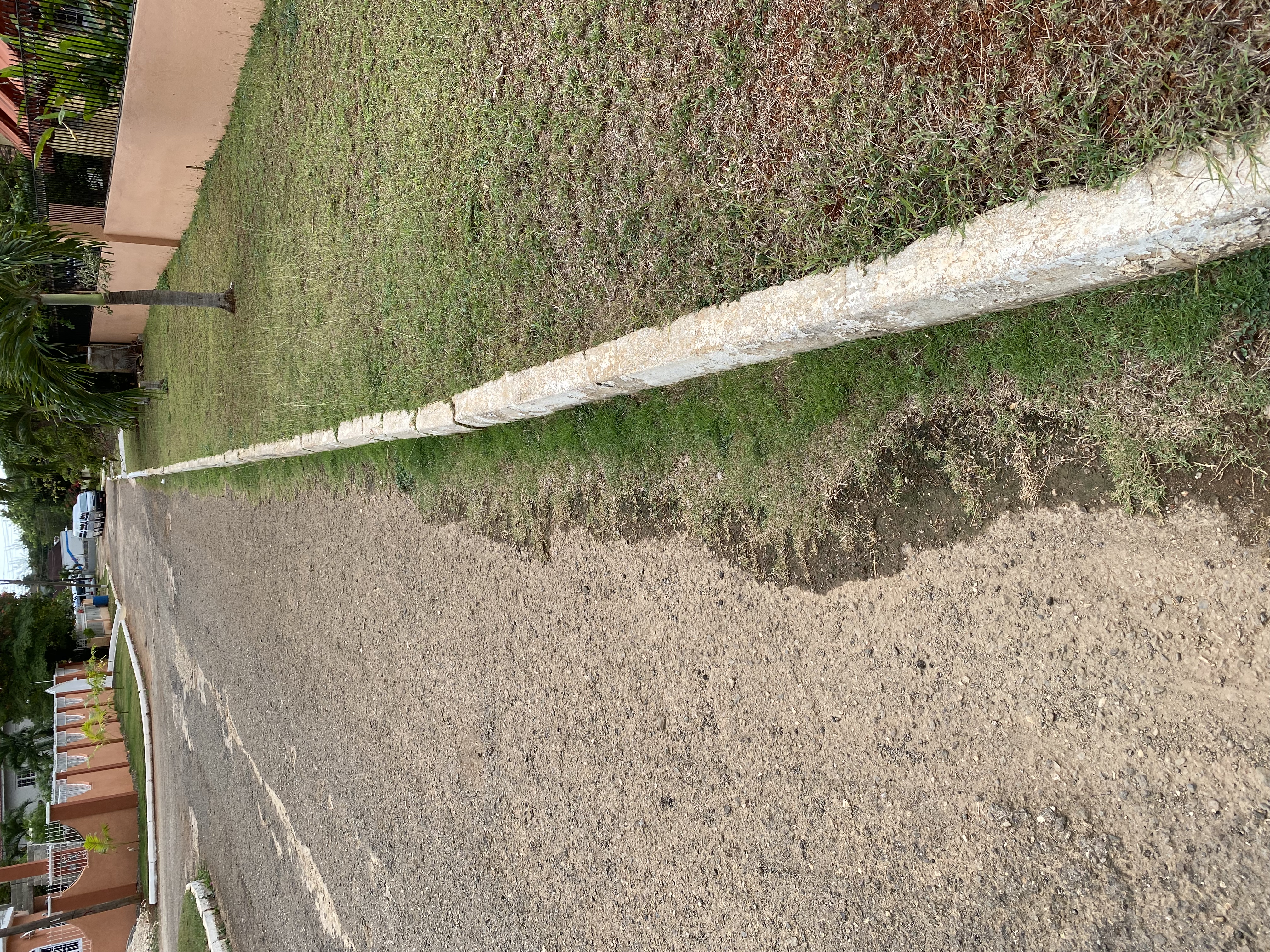 IMG_6838-010823-0418pm