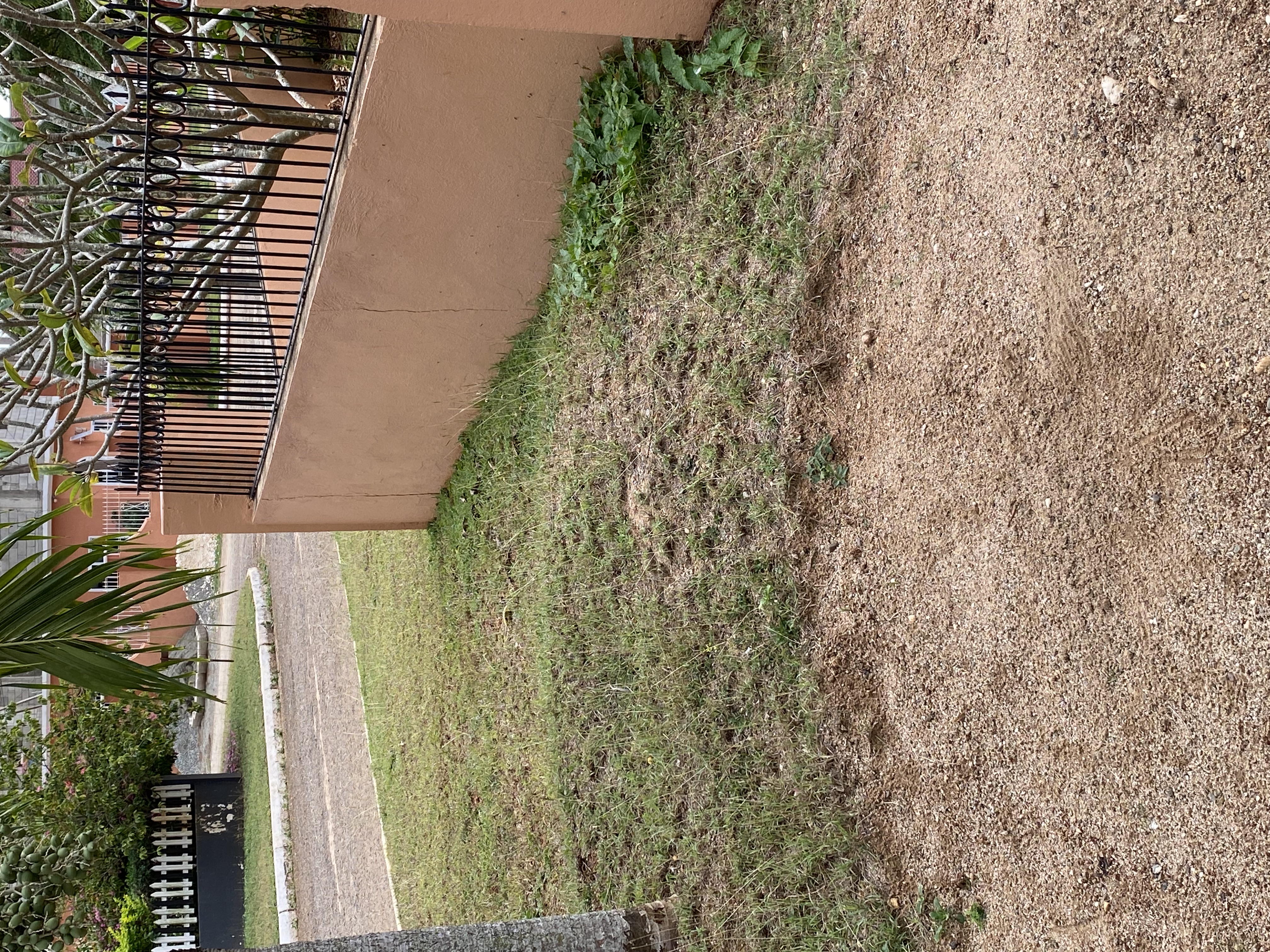 IMG_6846-010823-0422pm