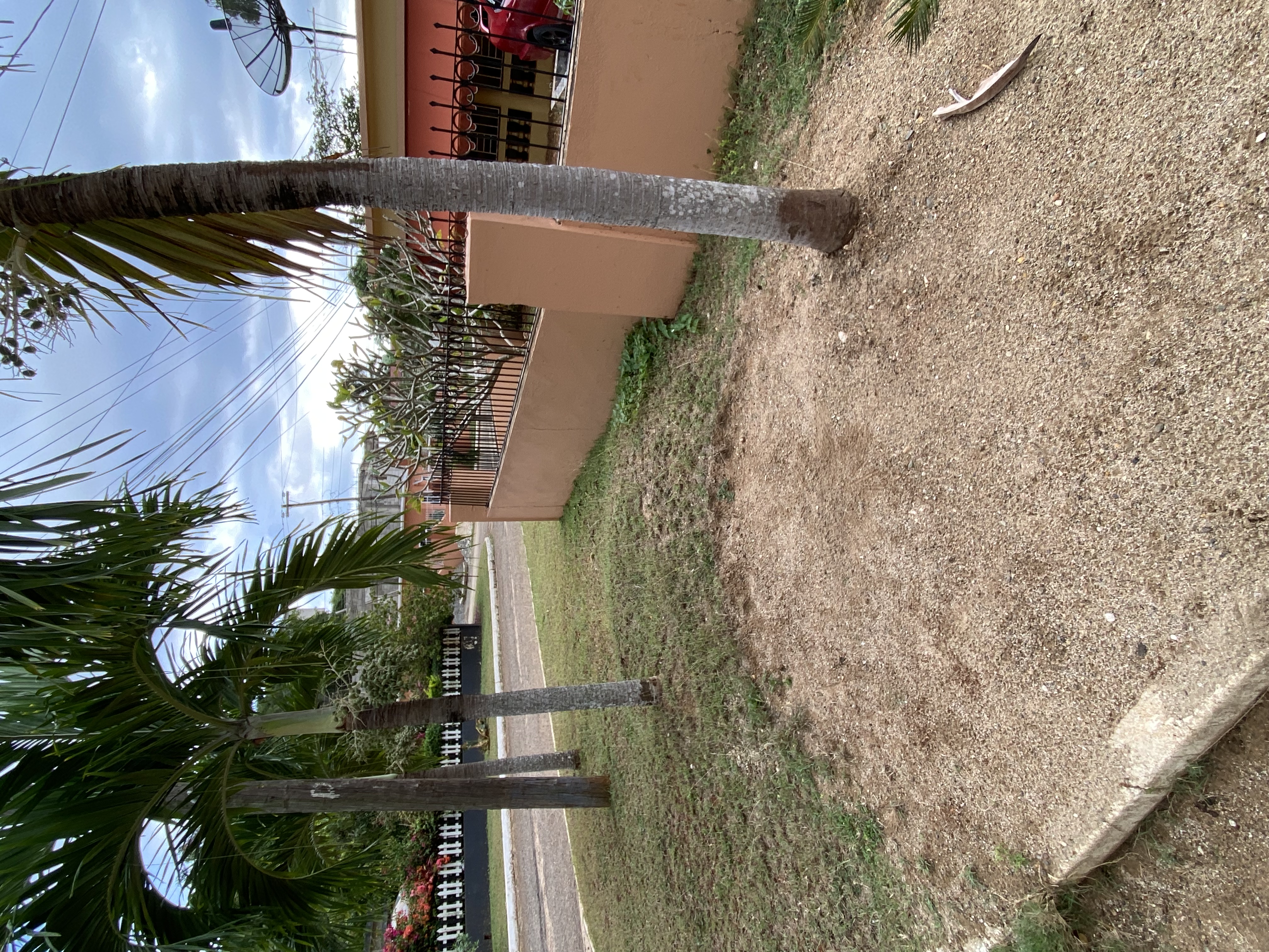 IMG_6847-010823-0422pm