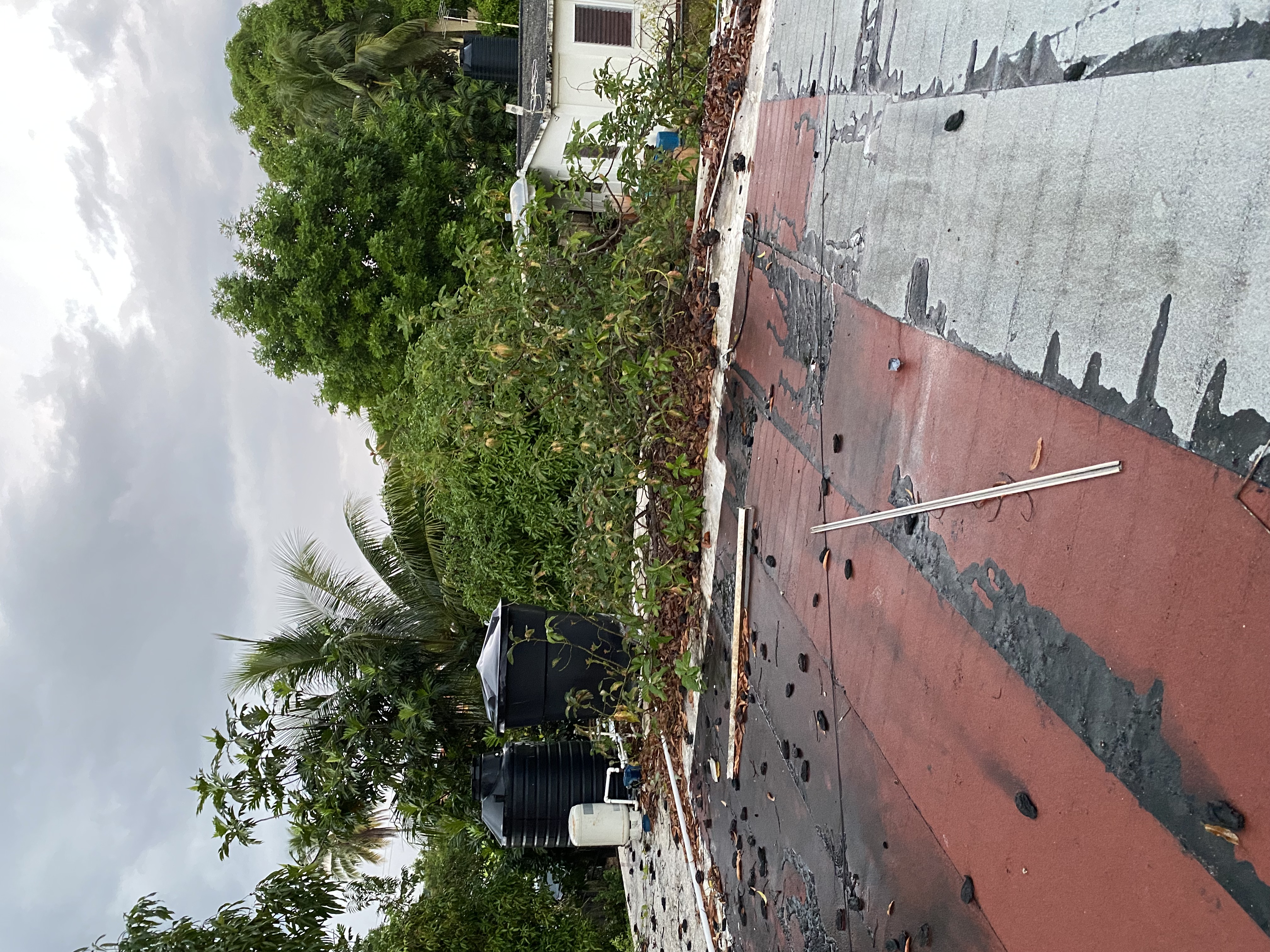 IMG_6862-010823-0549pm