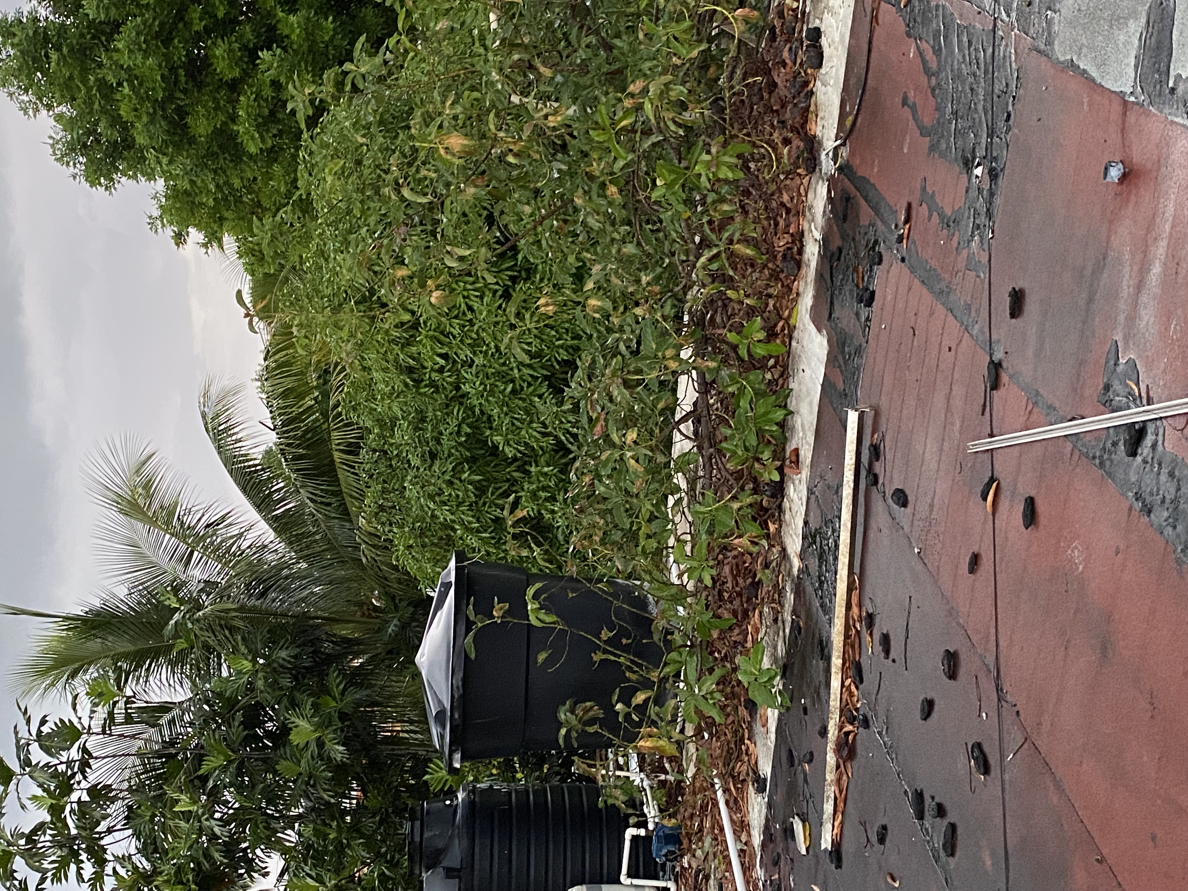 IMG_6864-010823-0549pm