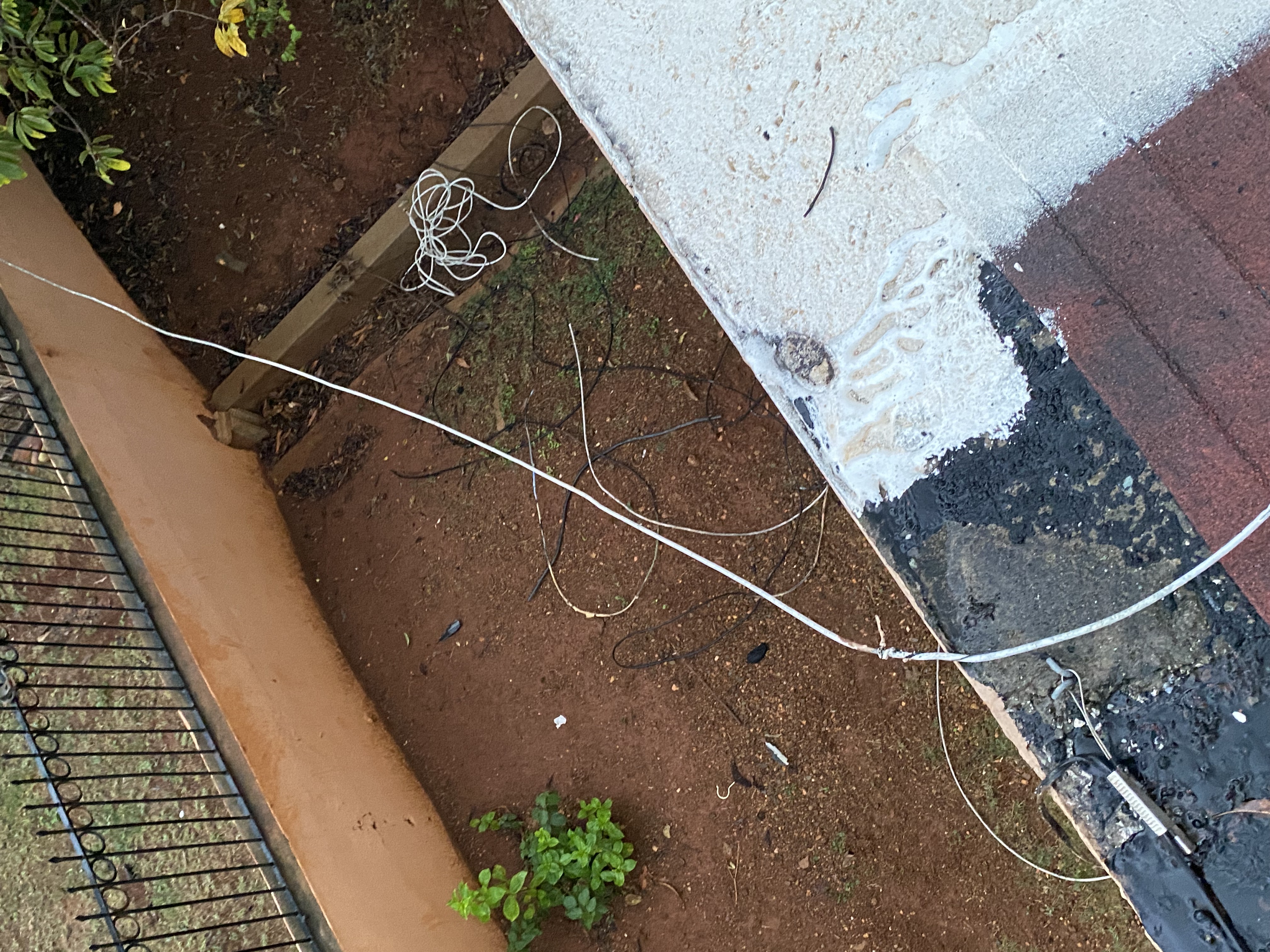 IMG_6871-010823-0550pm