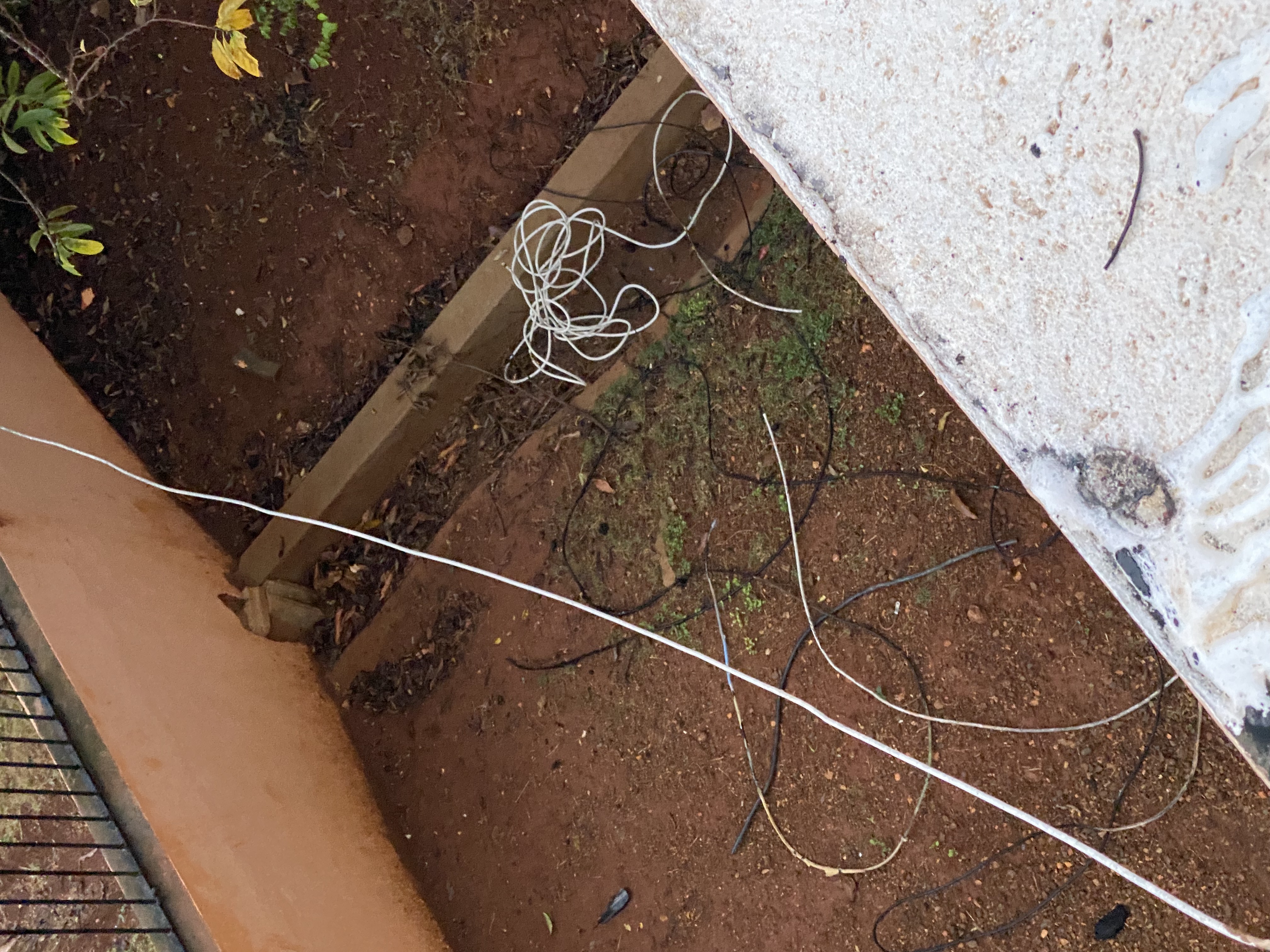 IMG_6872-010823-0550pm