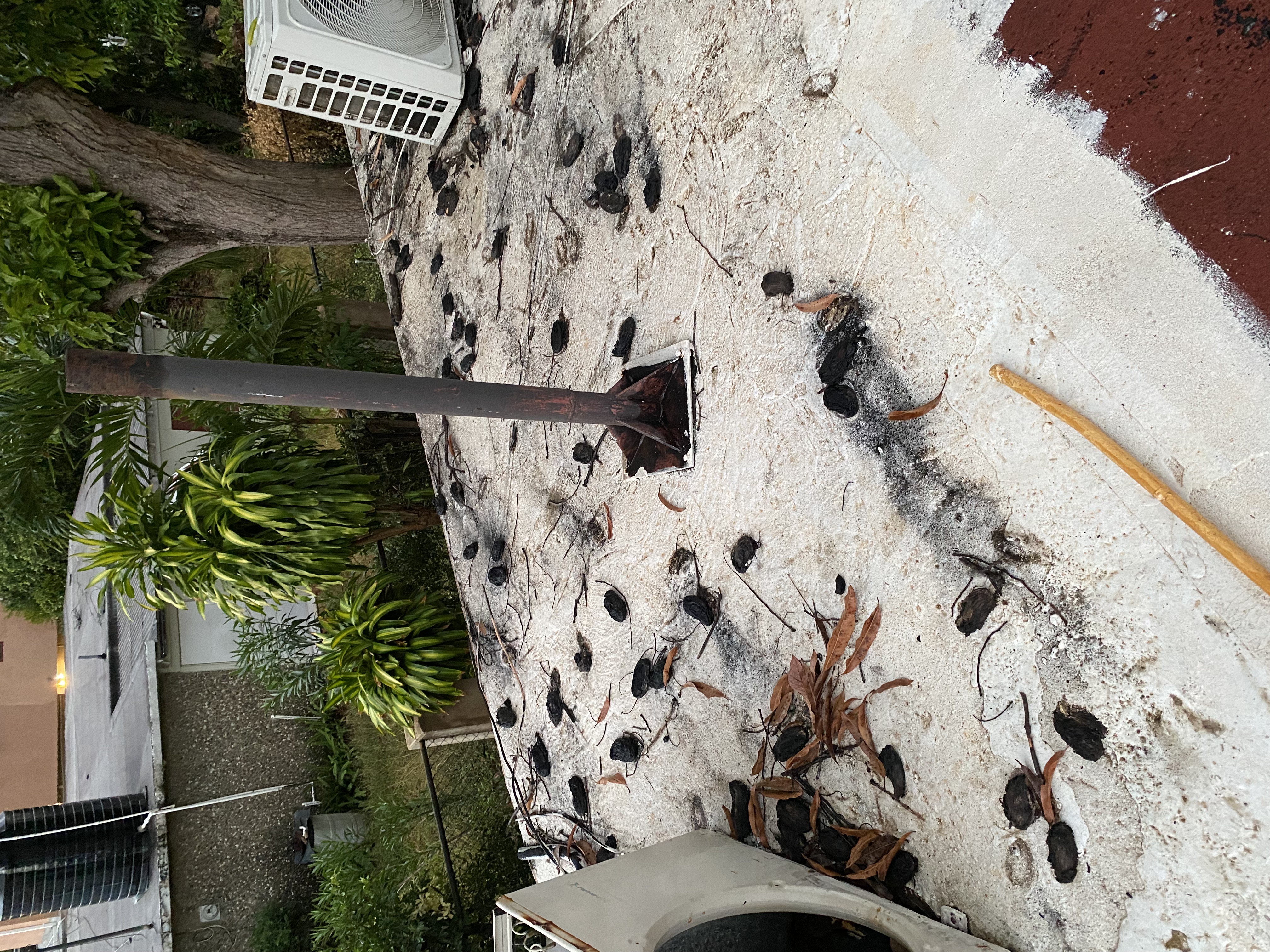 IMG_6873-010823-0551pm