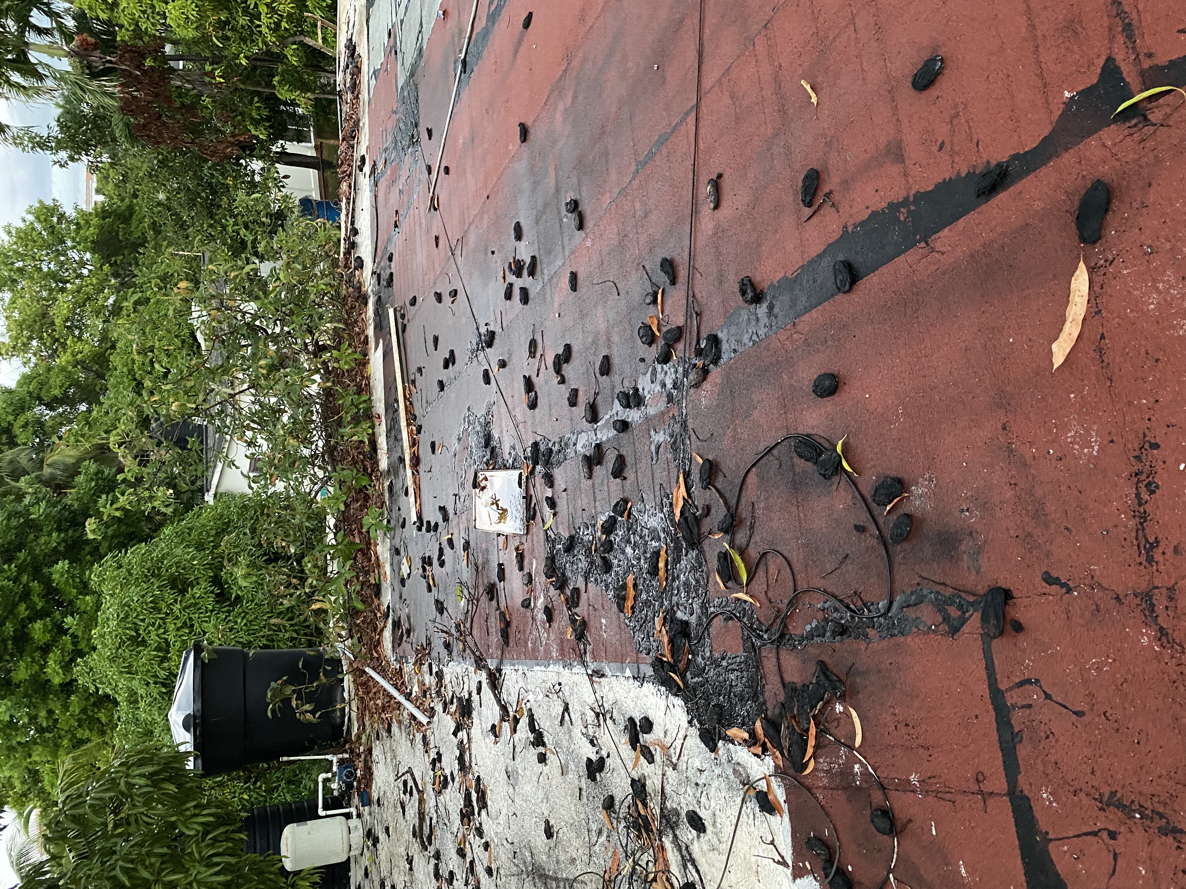 IMG_6875-010823-0551pm