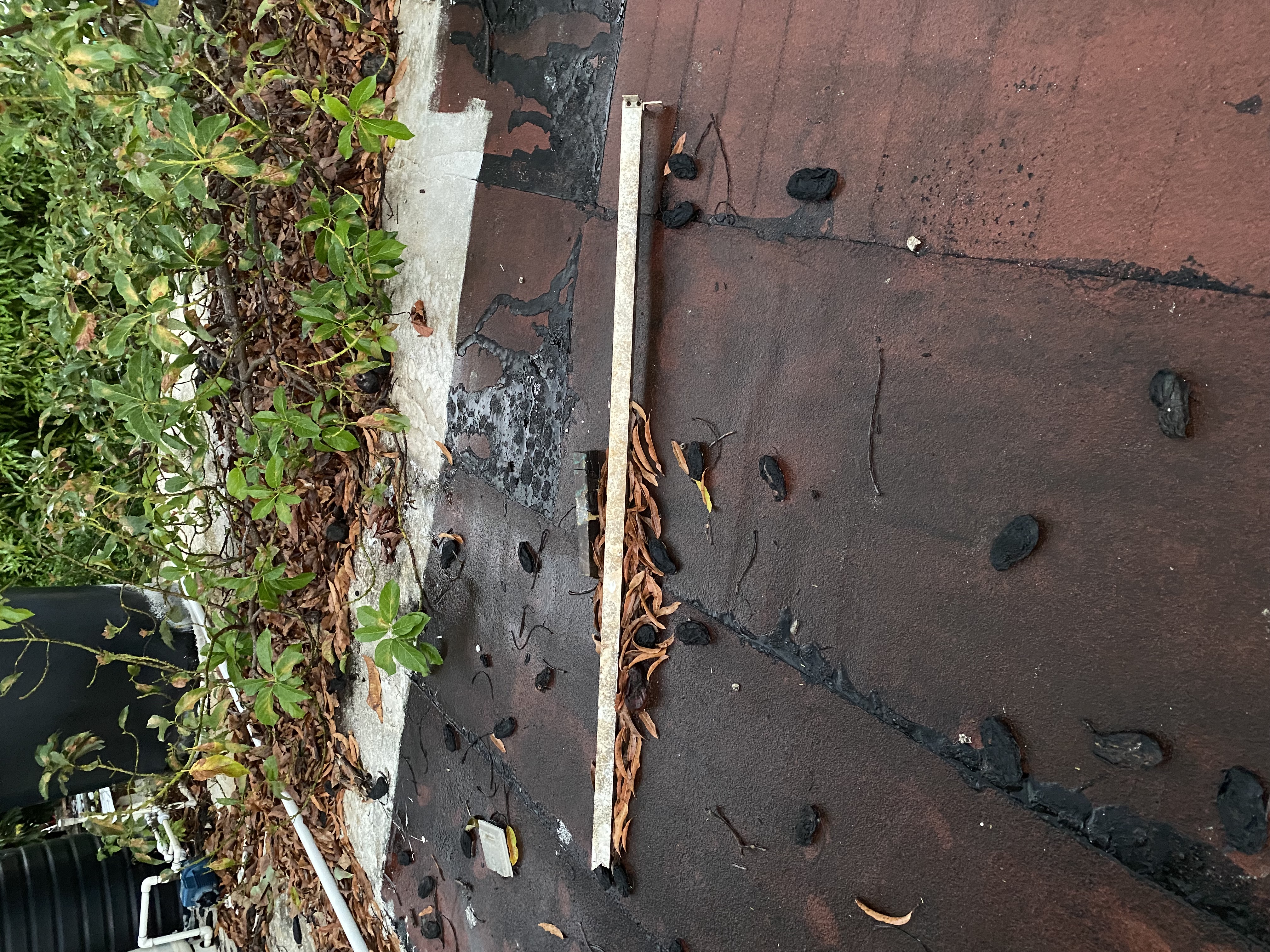 IMG_6876-010823-0551pm