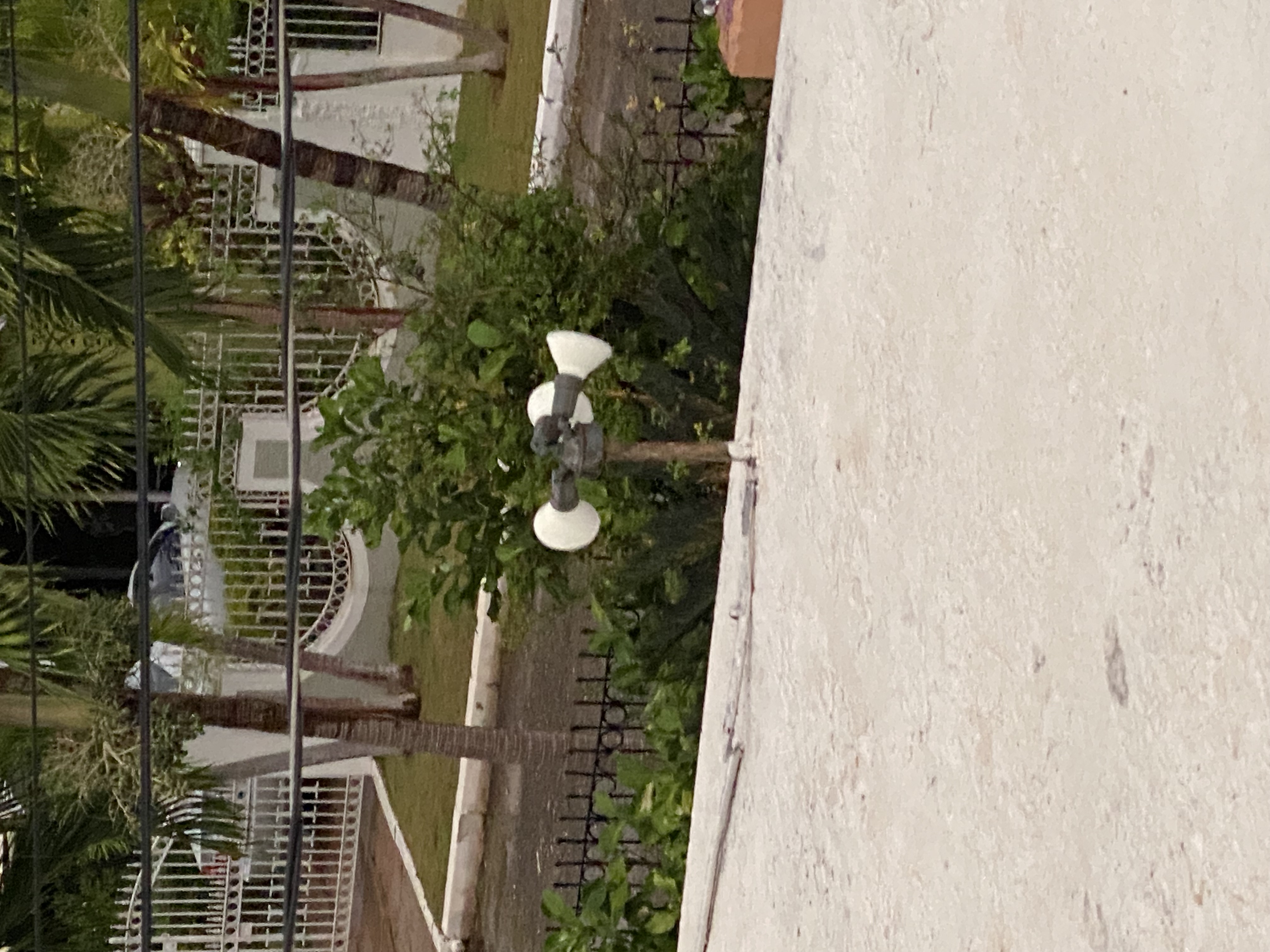 IMG_6879-010823-0558pm