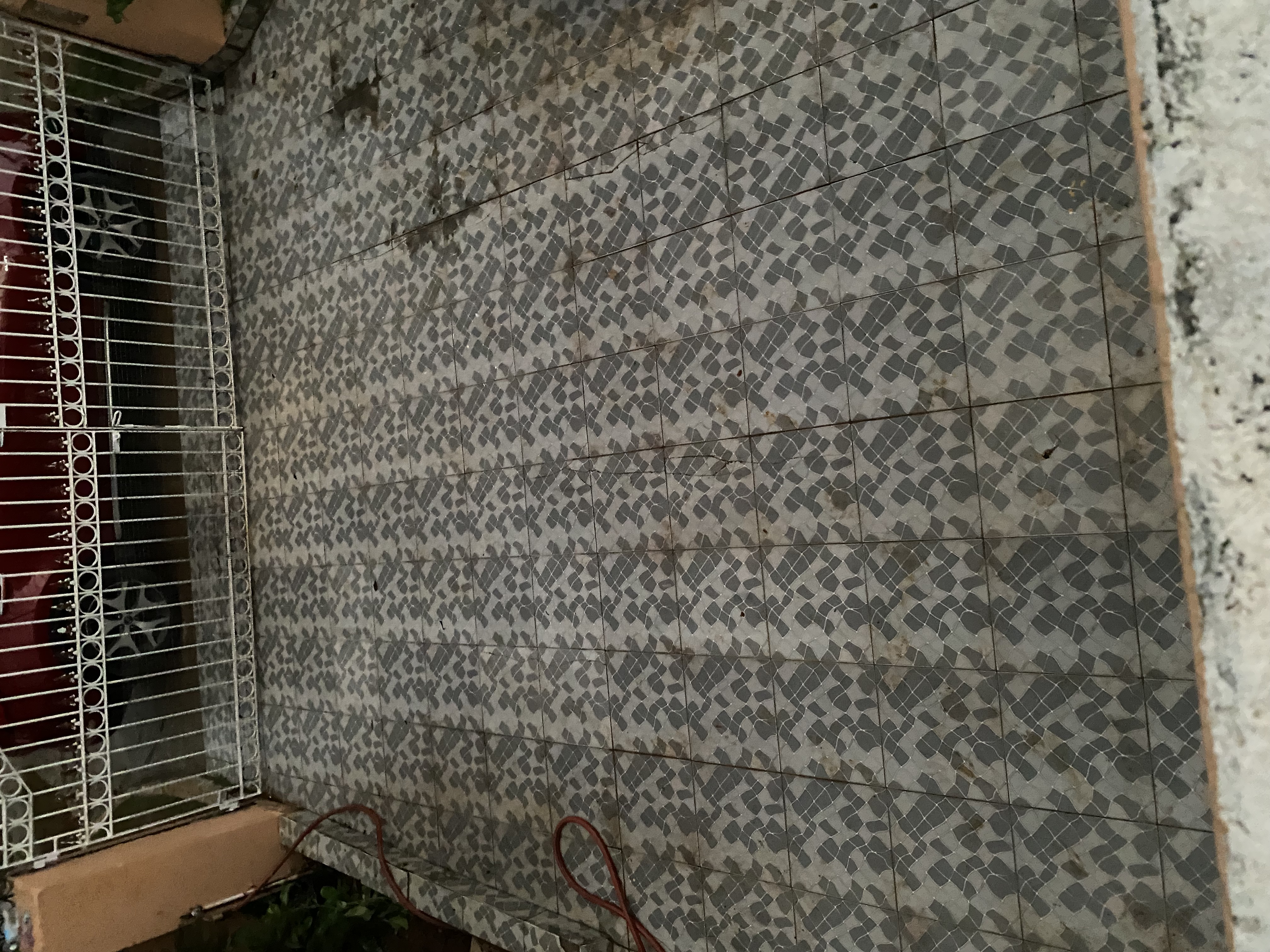 IMG_6886-010823-0603pm