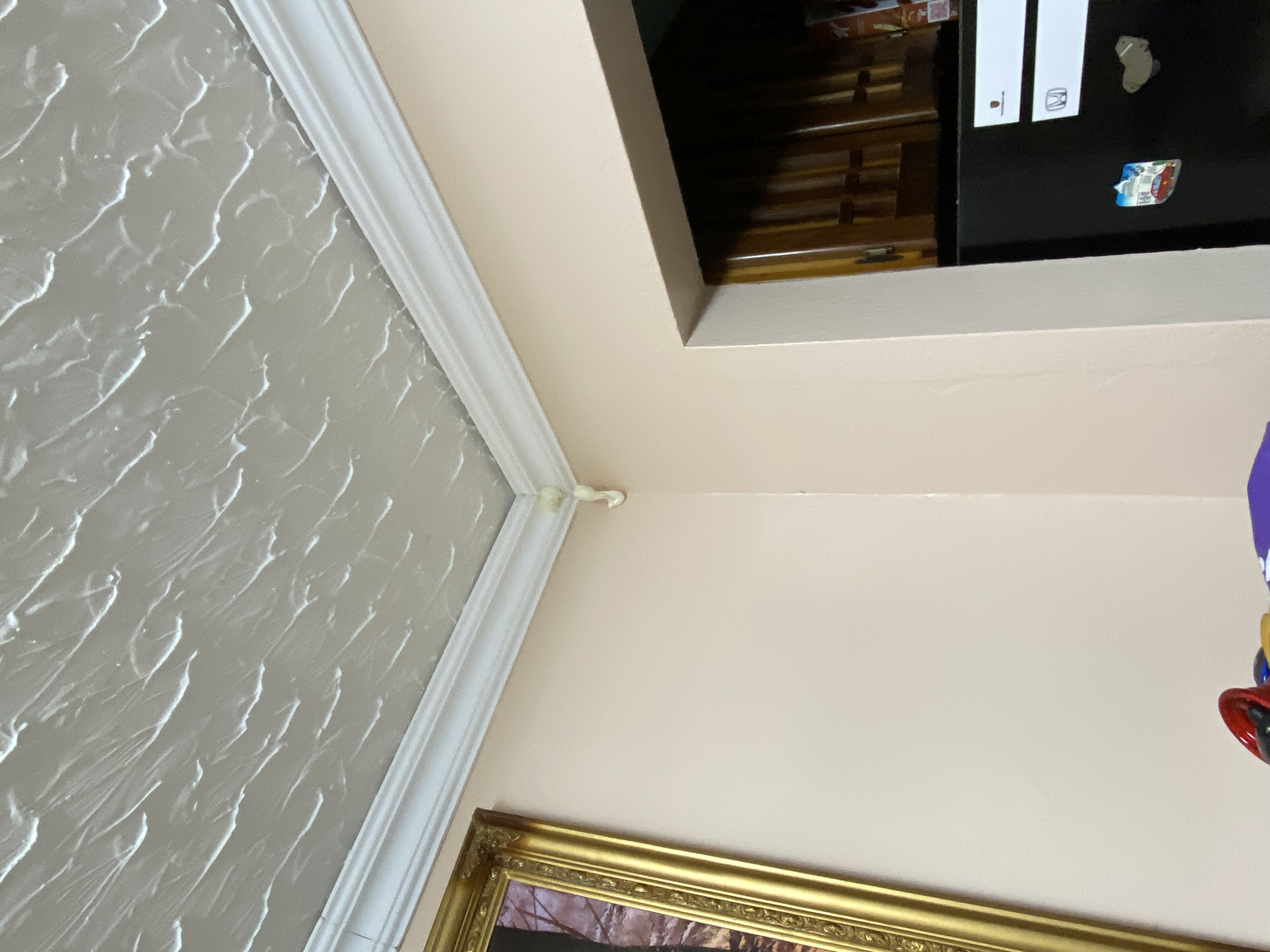 IMG_6888-010823-0805pm