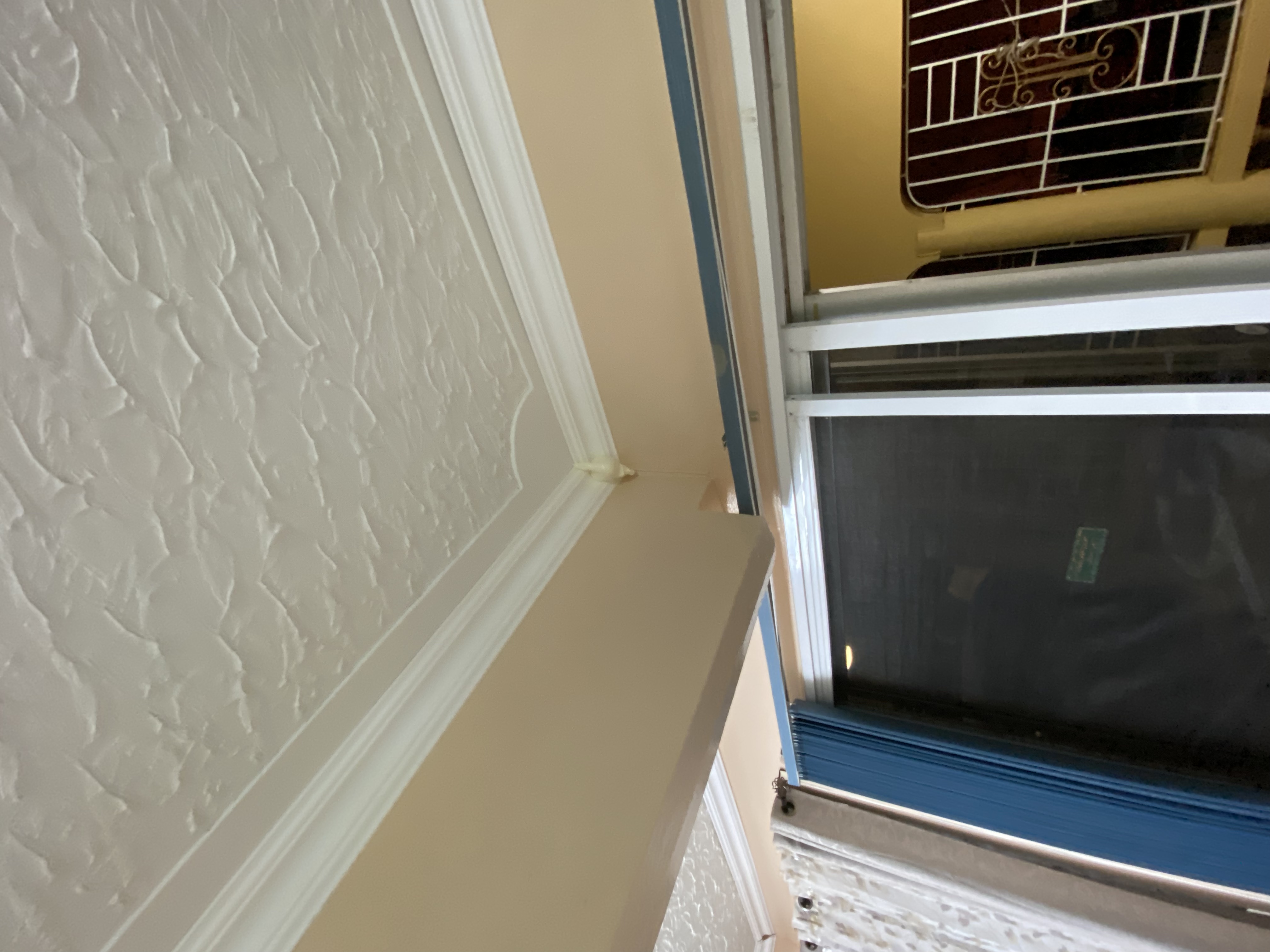 IMG_6890-010823-0805pm