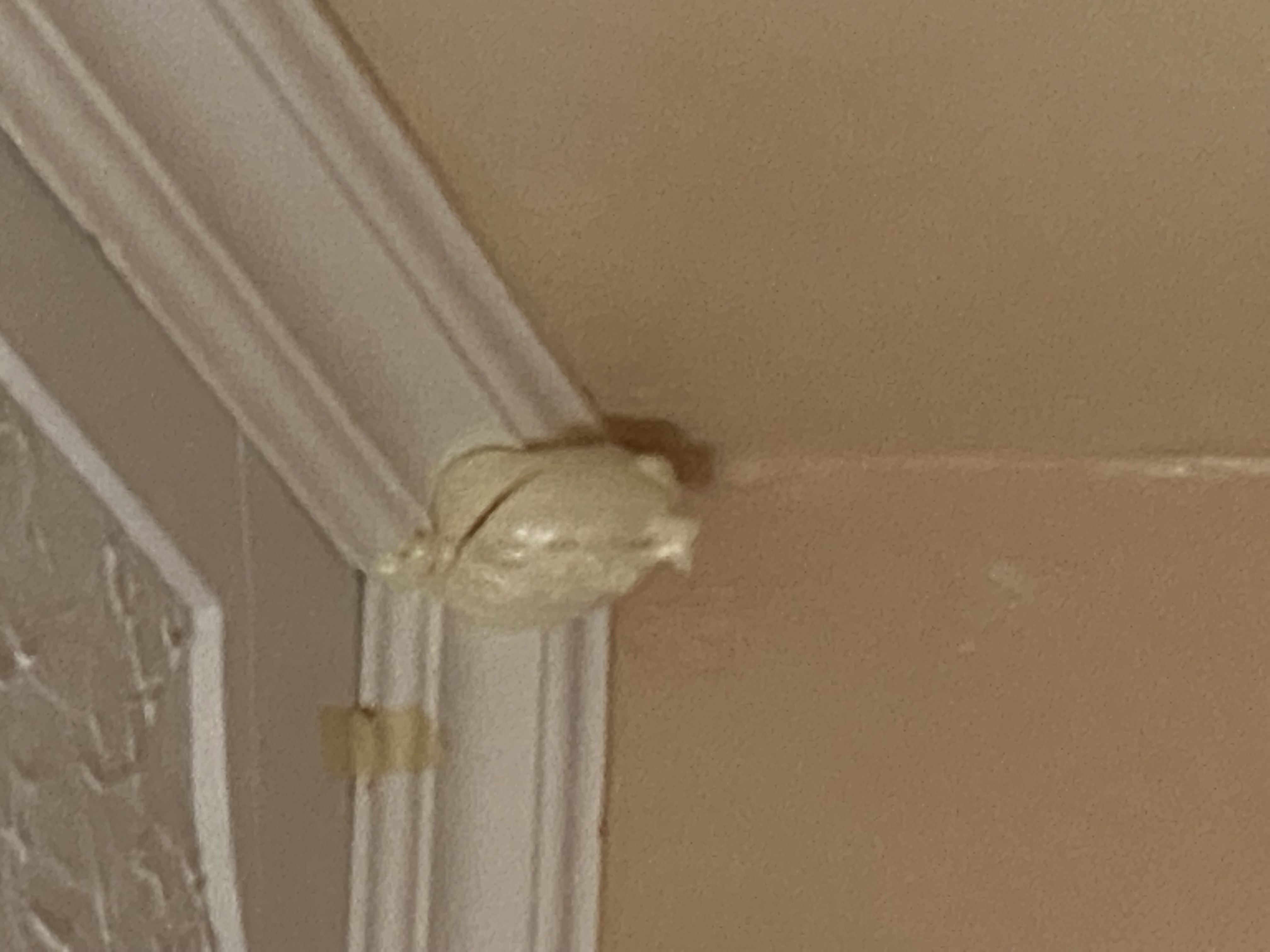 IMG_6893-010823-0827pm