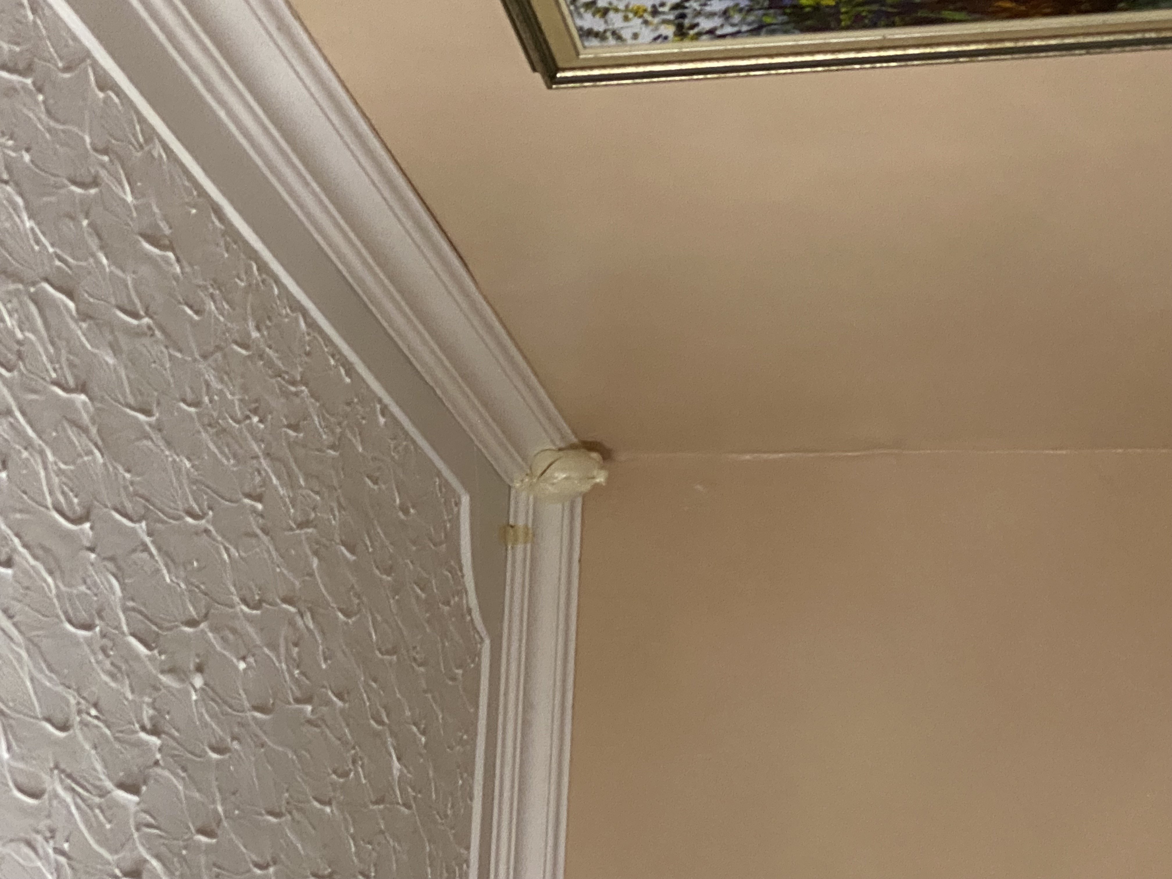 IMG_6894-010823-0827pm