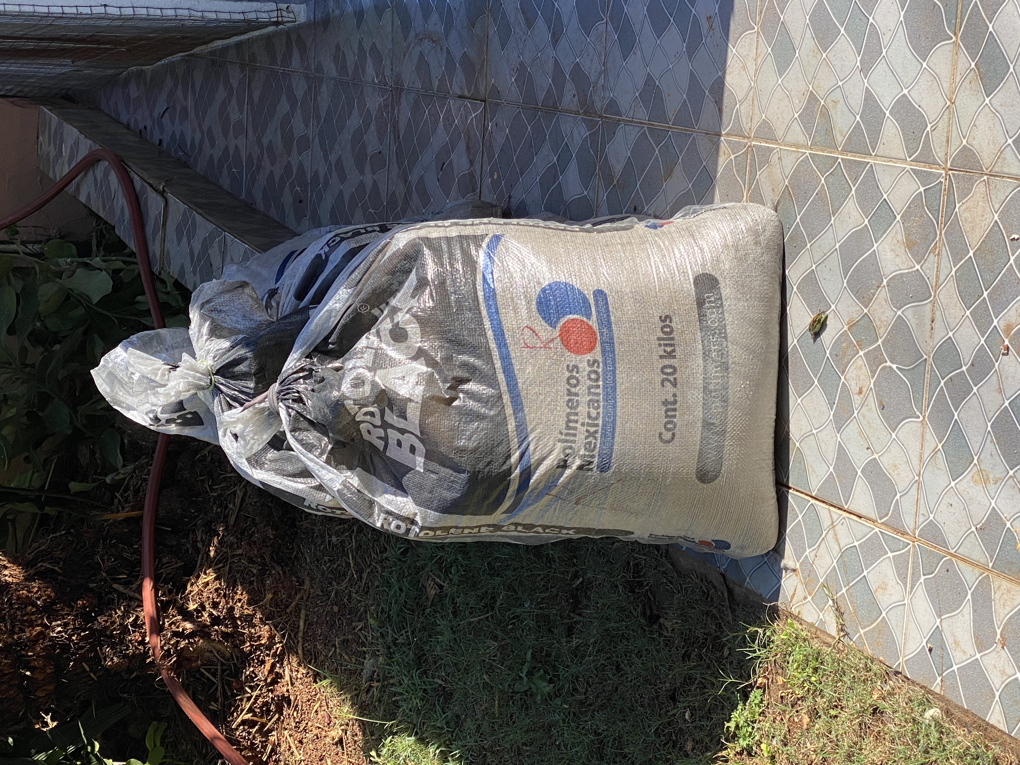 IMG_6897-010923-0939am