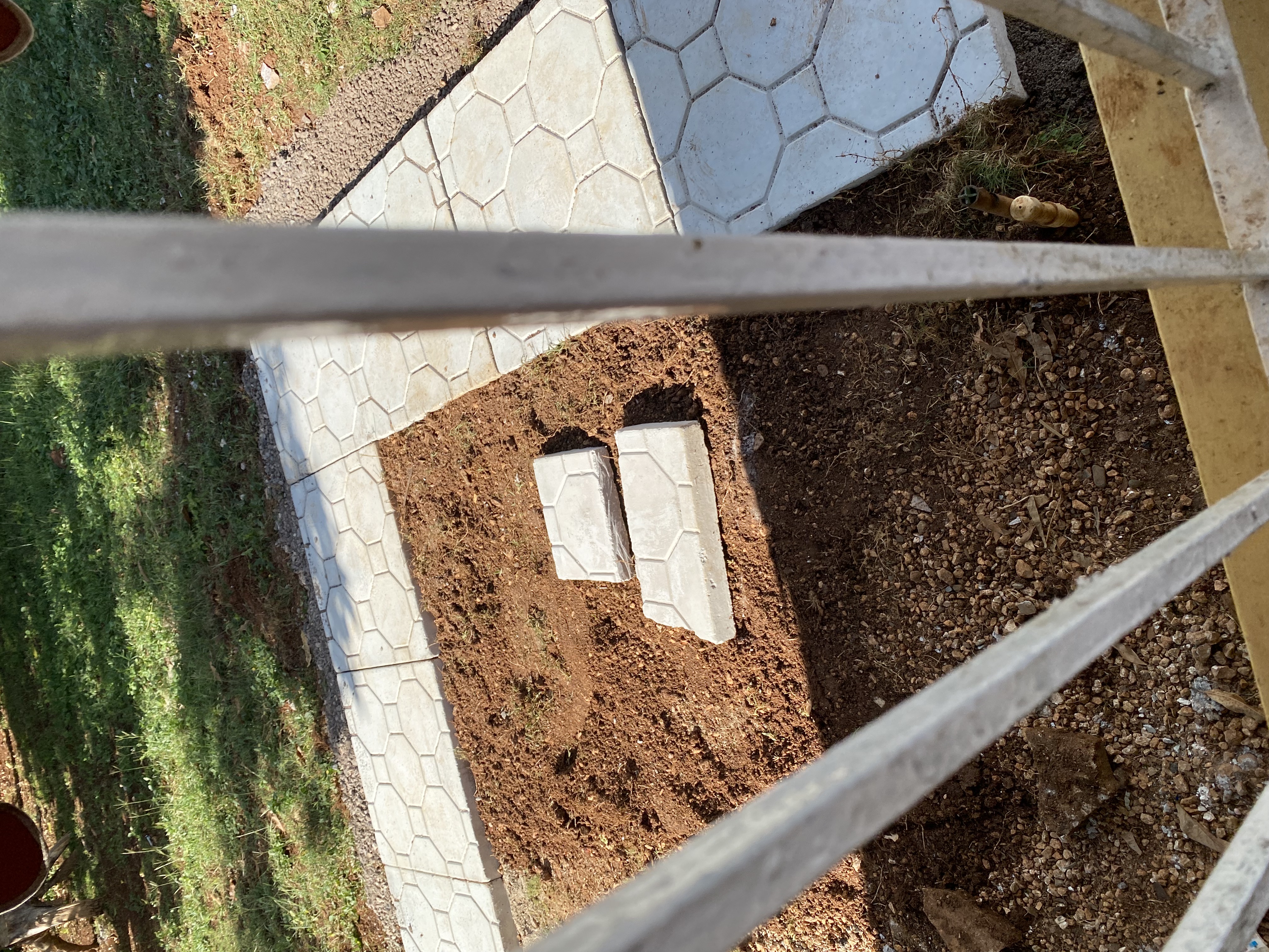 IMG_6907-010923-0237pm