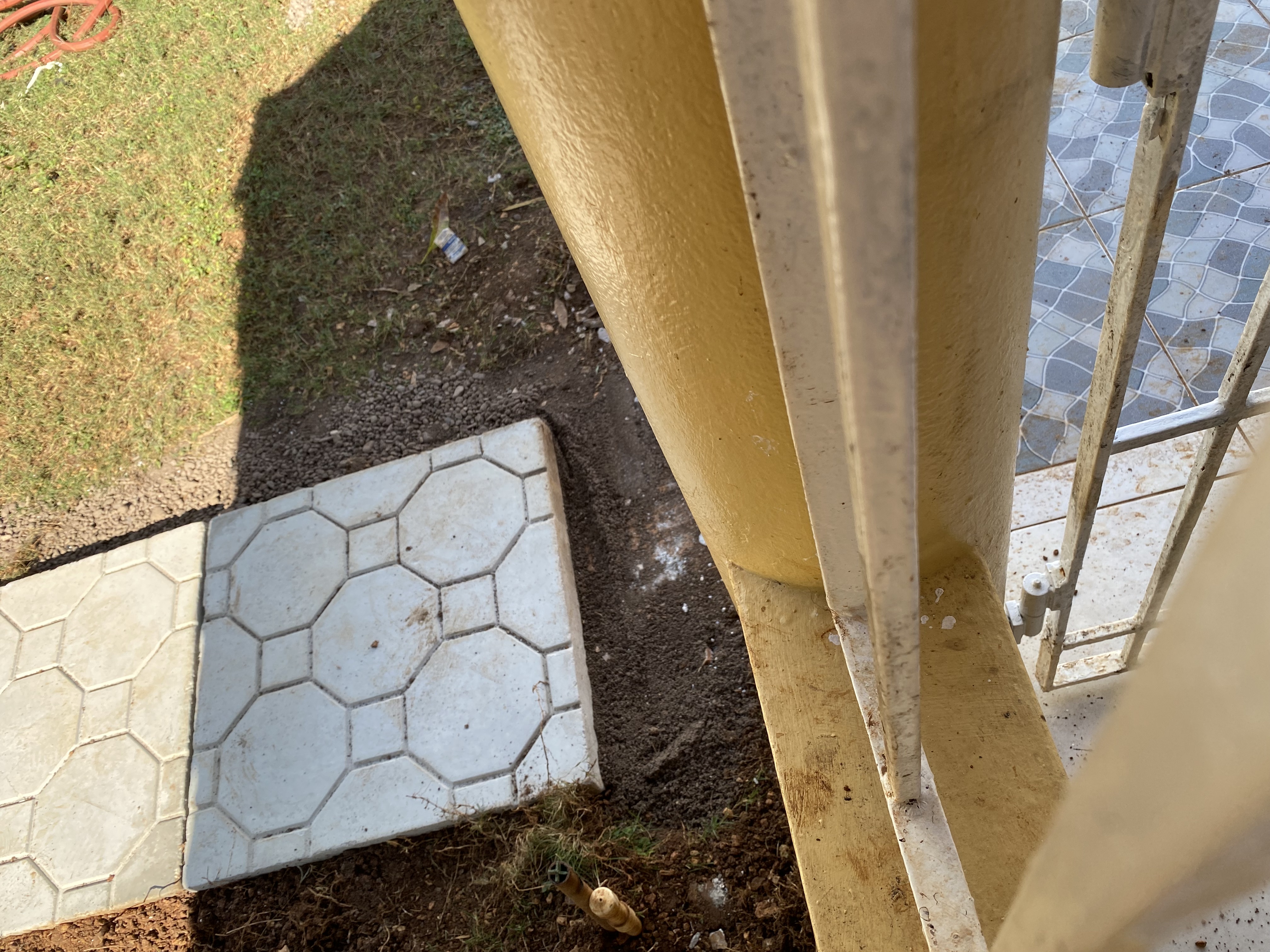 IMG_6908-010923-0237pm