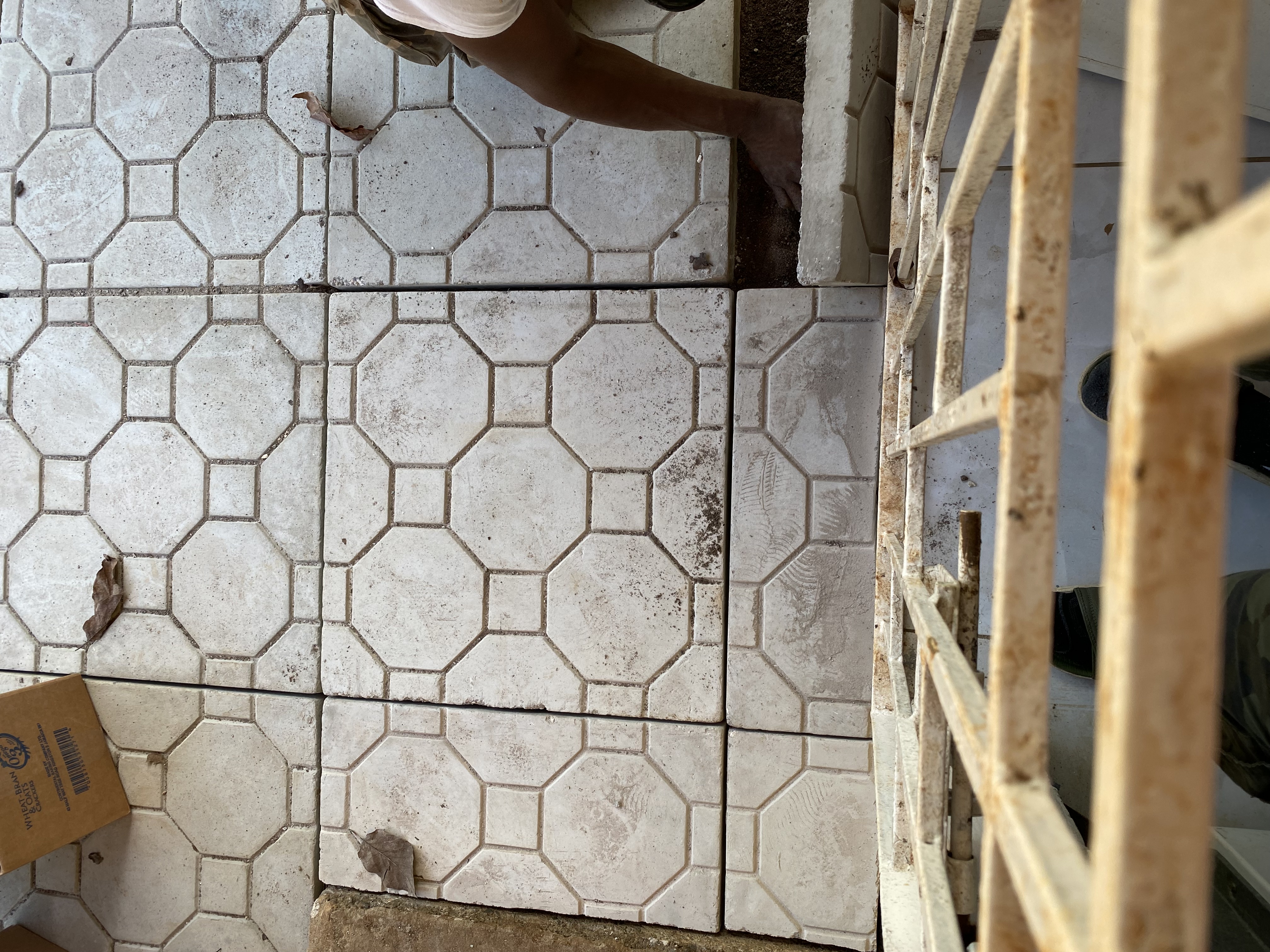 IMG_6911-010823-0252pm