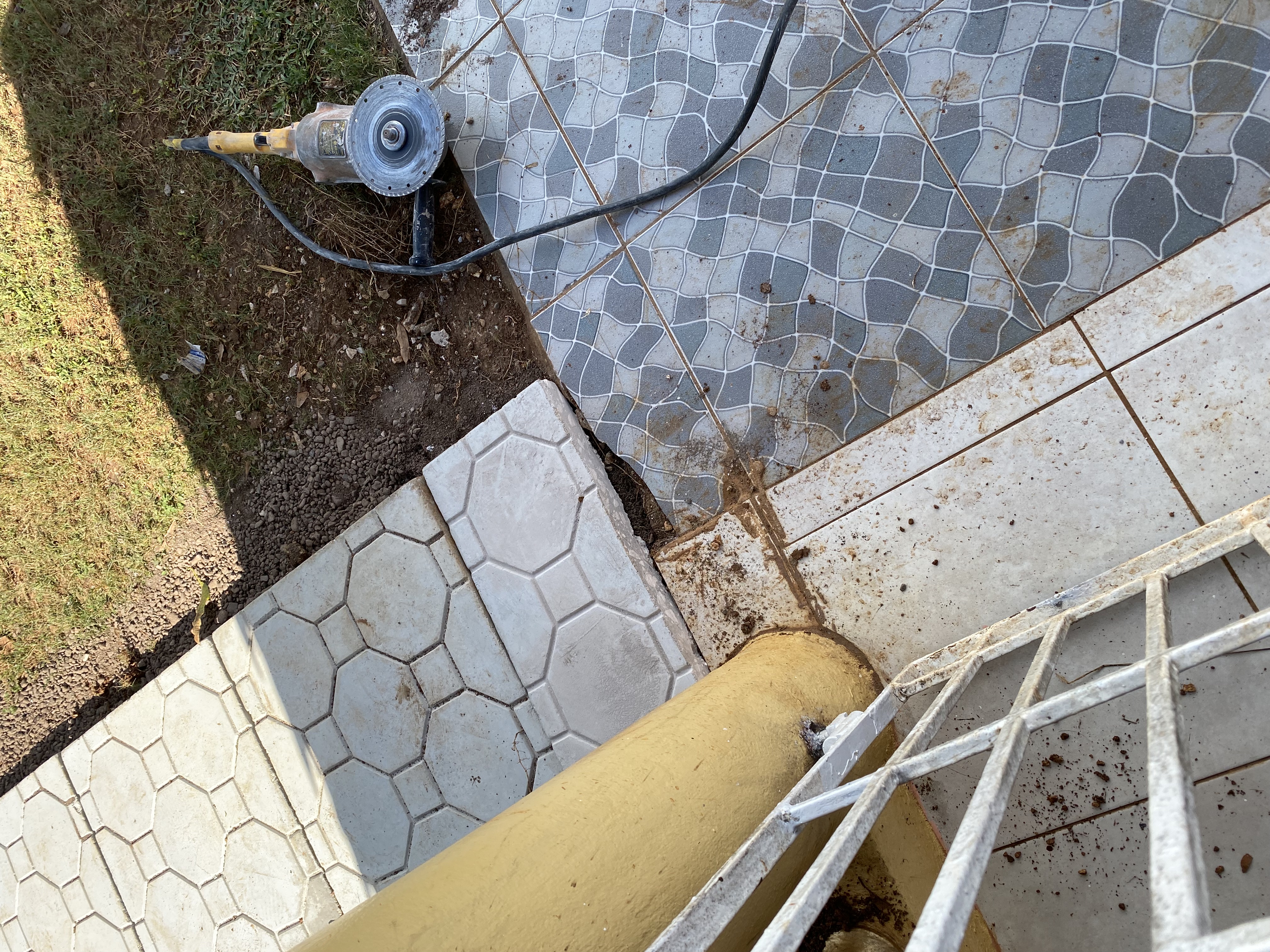 IMG_6912-010823-0252pm