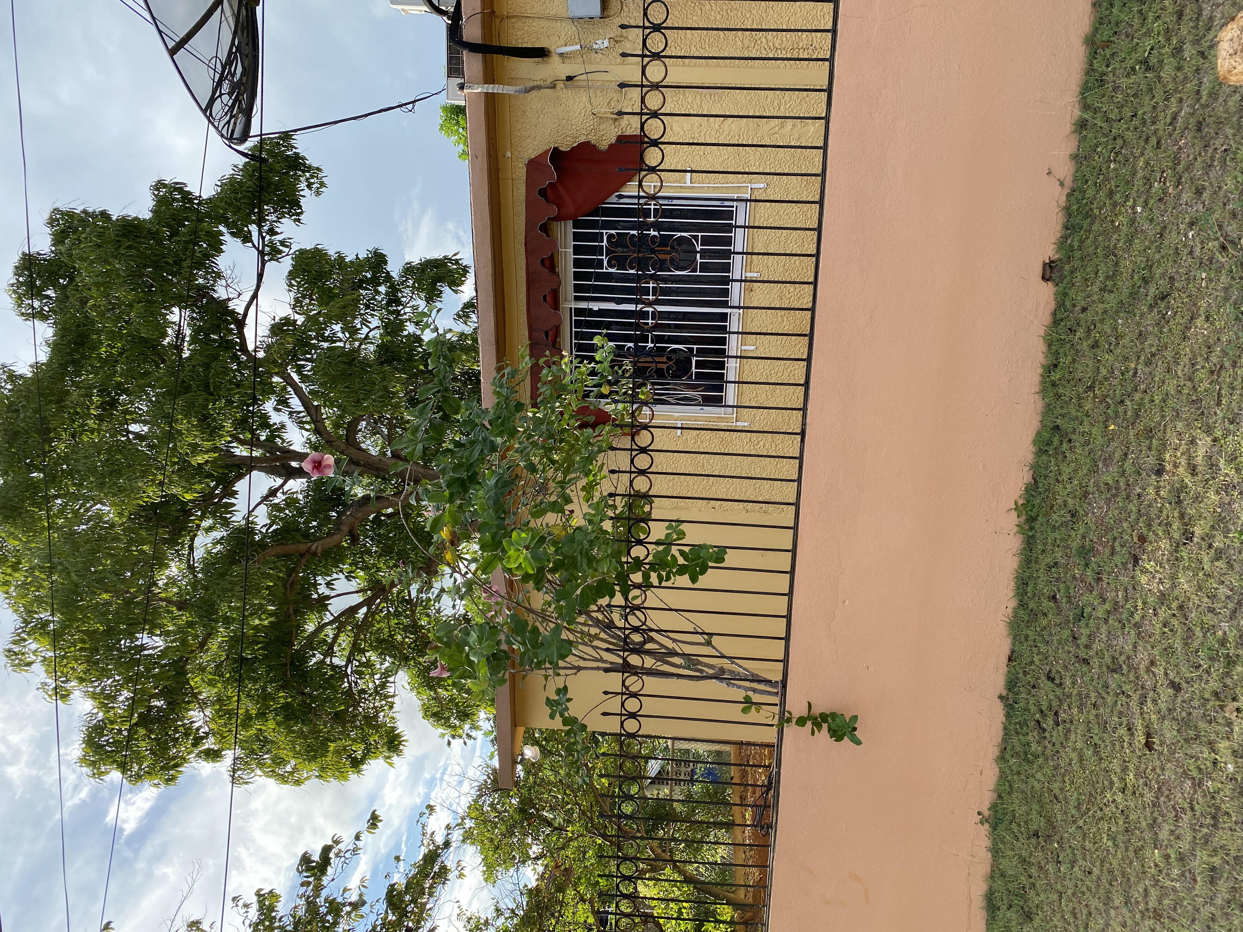 IMG_6919-010923-0359pm