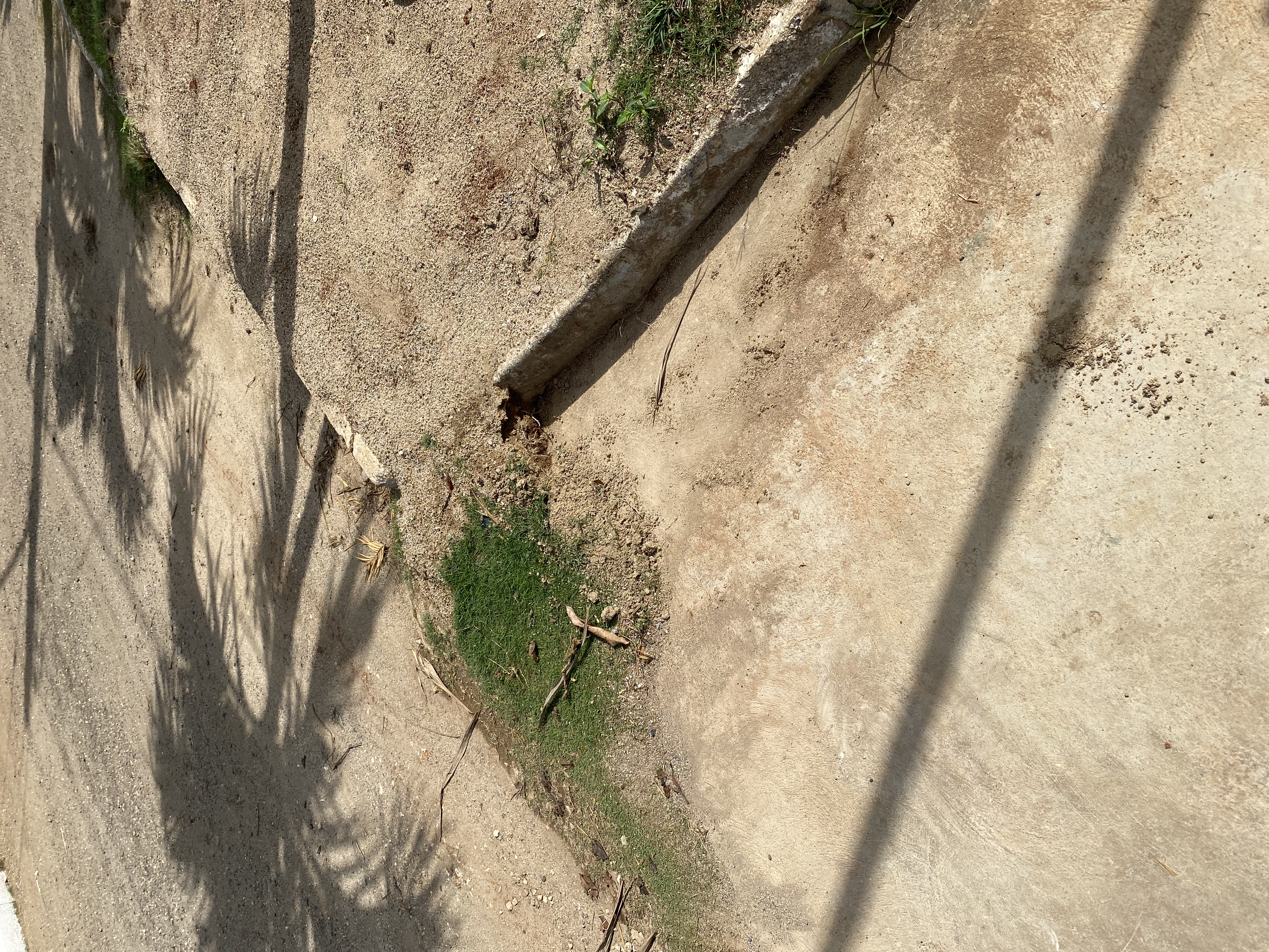 IMG_6932-011123-0128pm