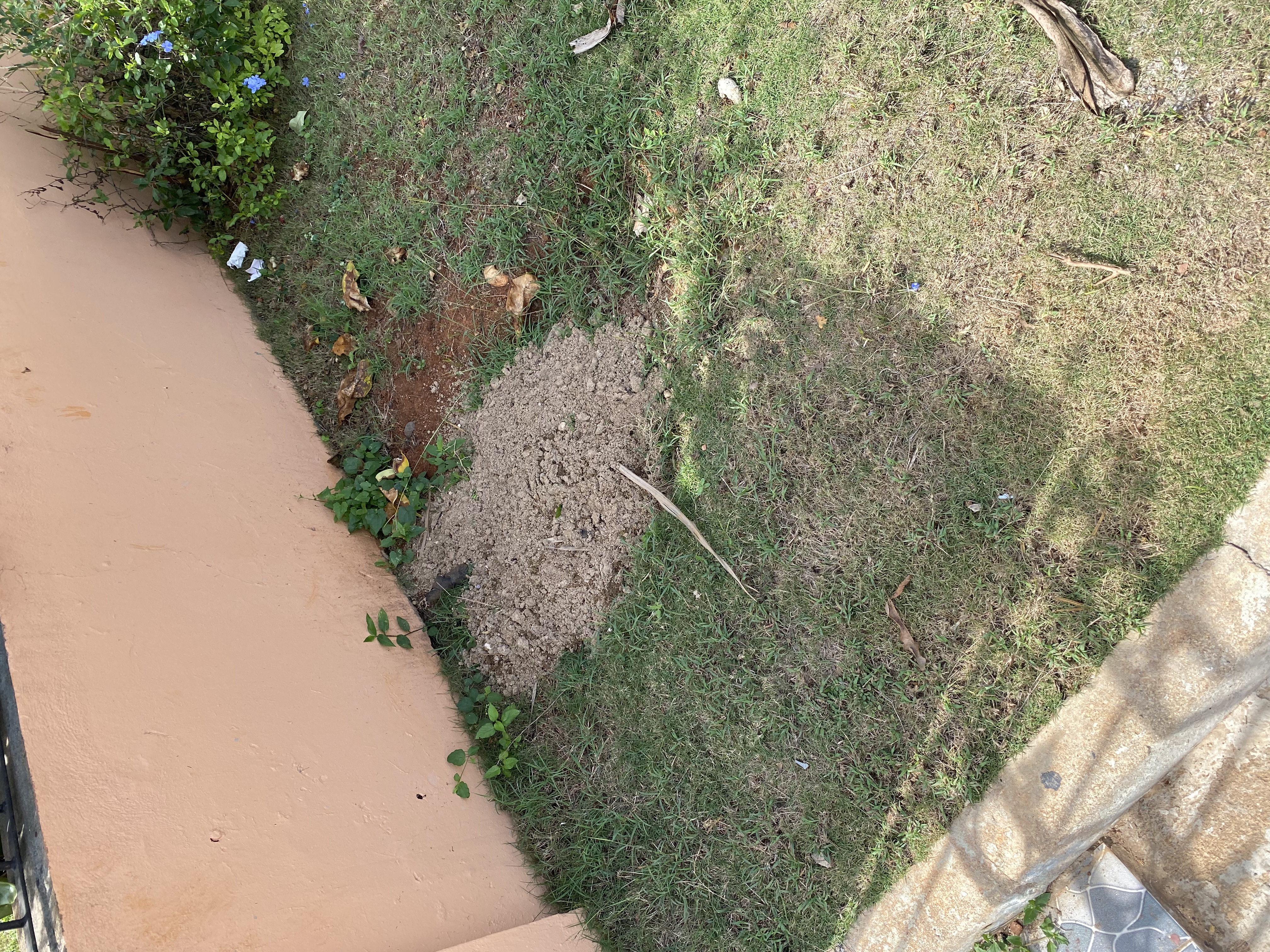 IMG_6933-011123-0128pm