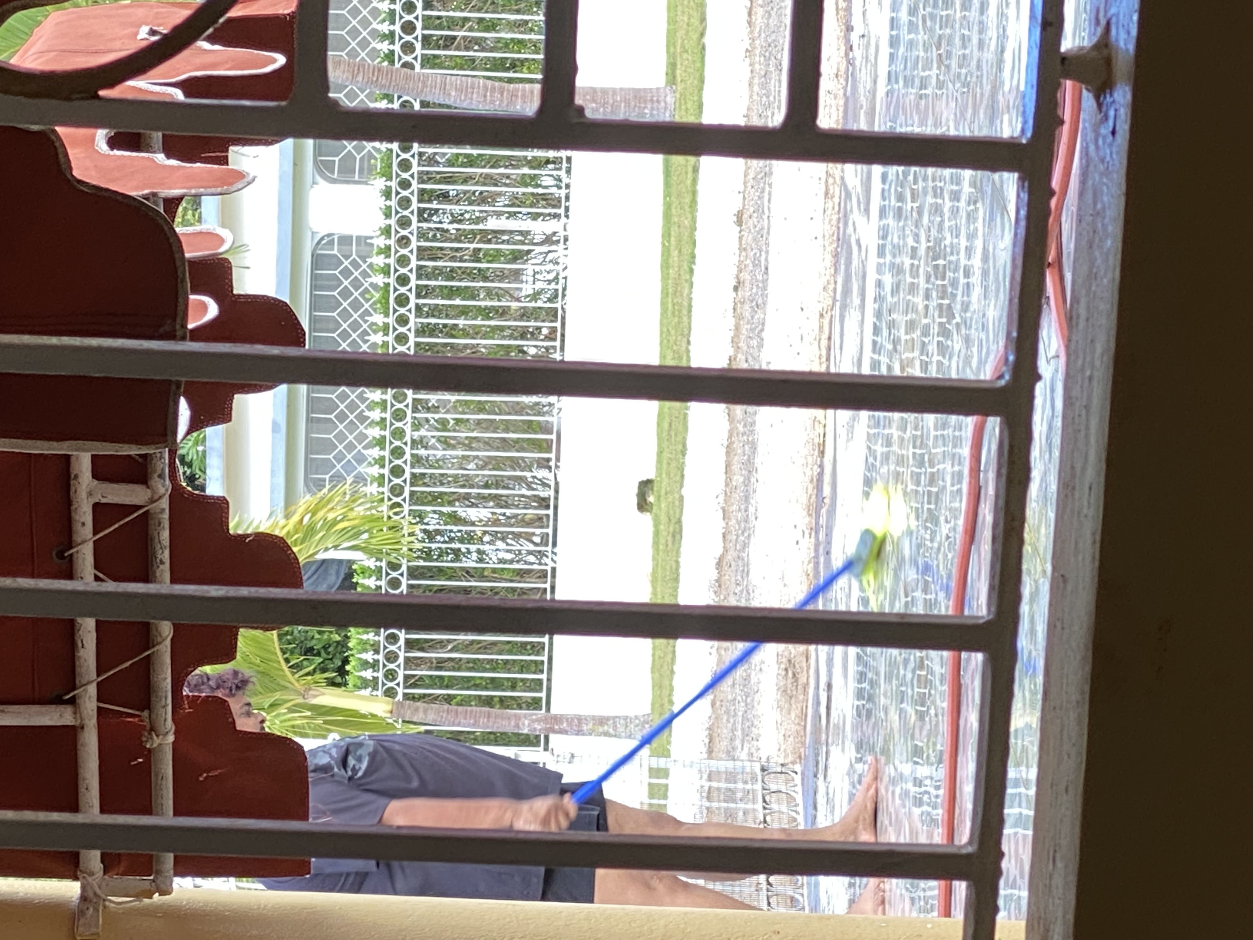 IMG_6935-011123-0153pm