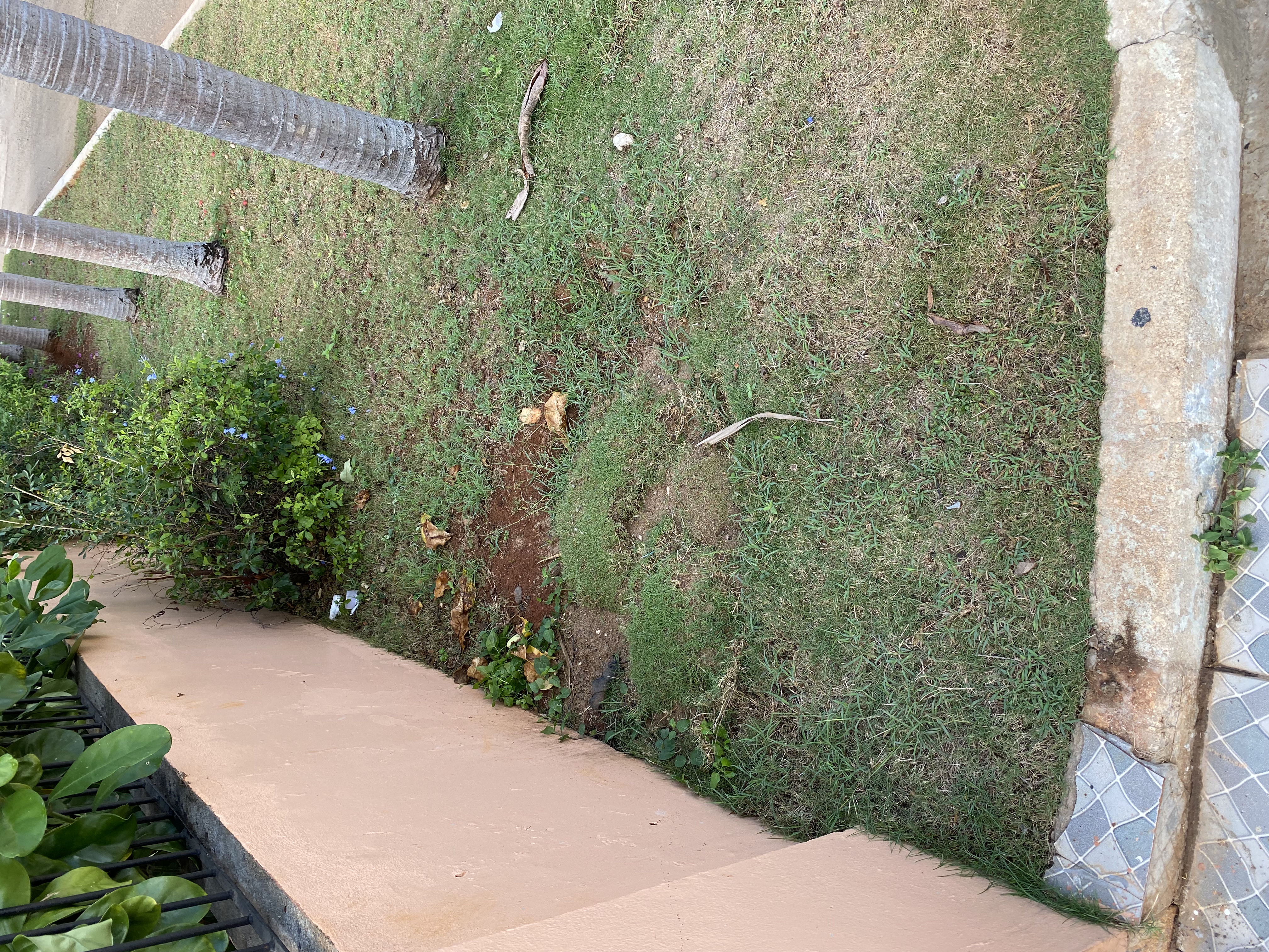 IMG_6939-011123-0229pm