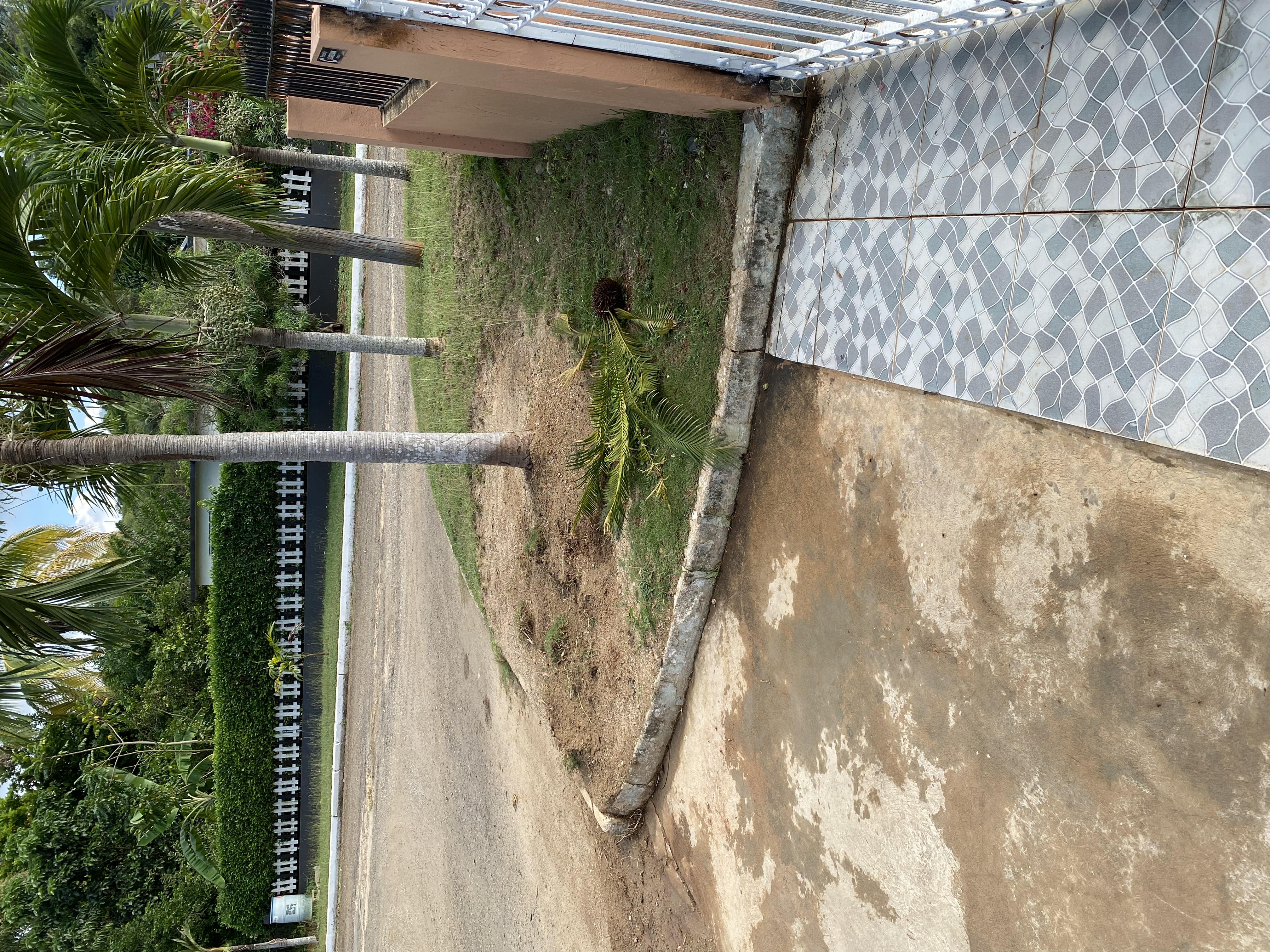 IMG_6943-011123-0229pm