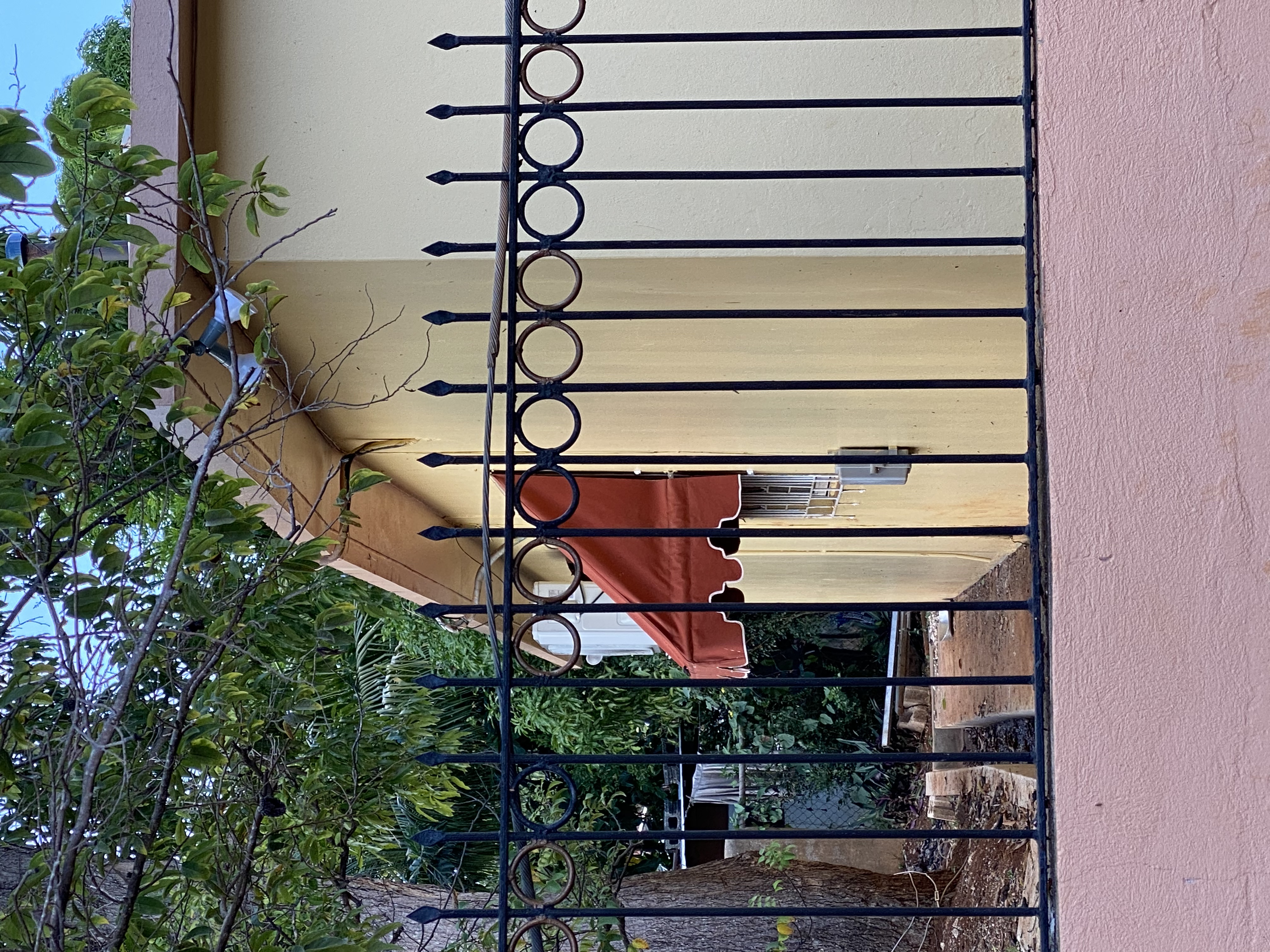 IMG_6947-011123-0324pm