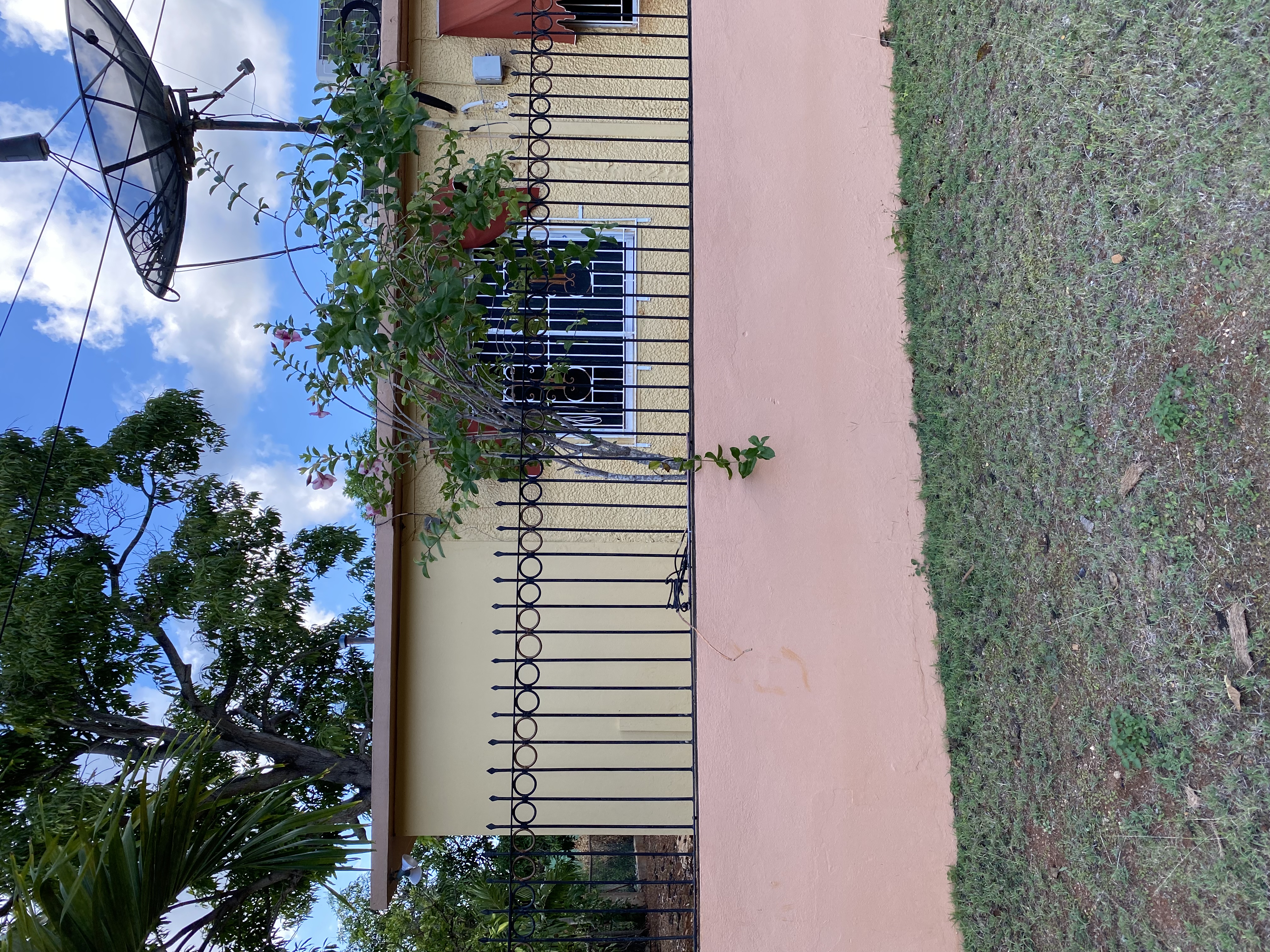 IMG_6949-011123-0325pm