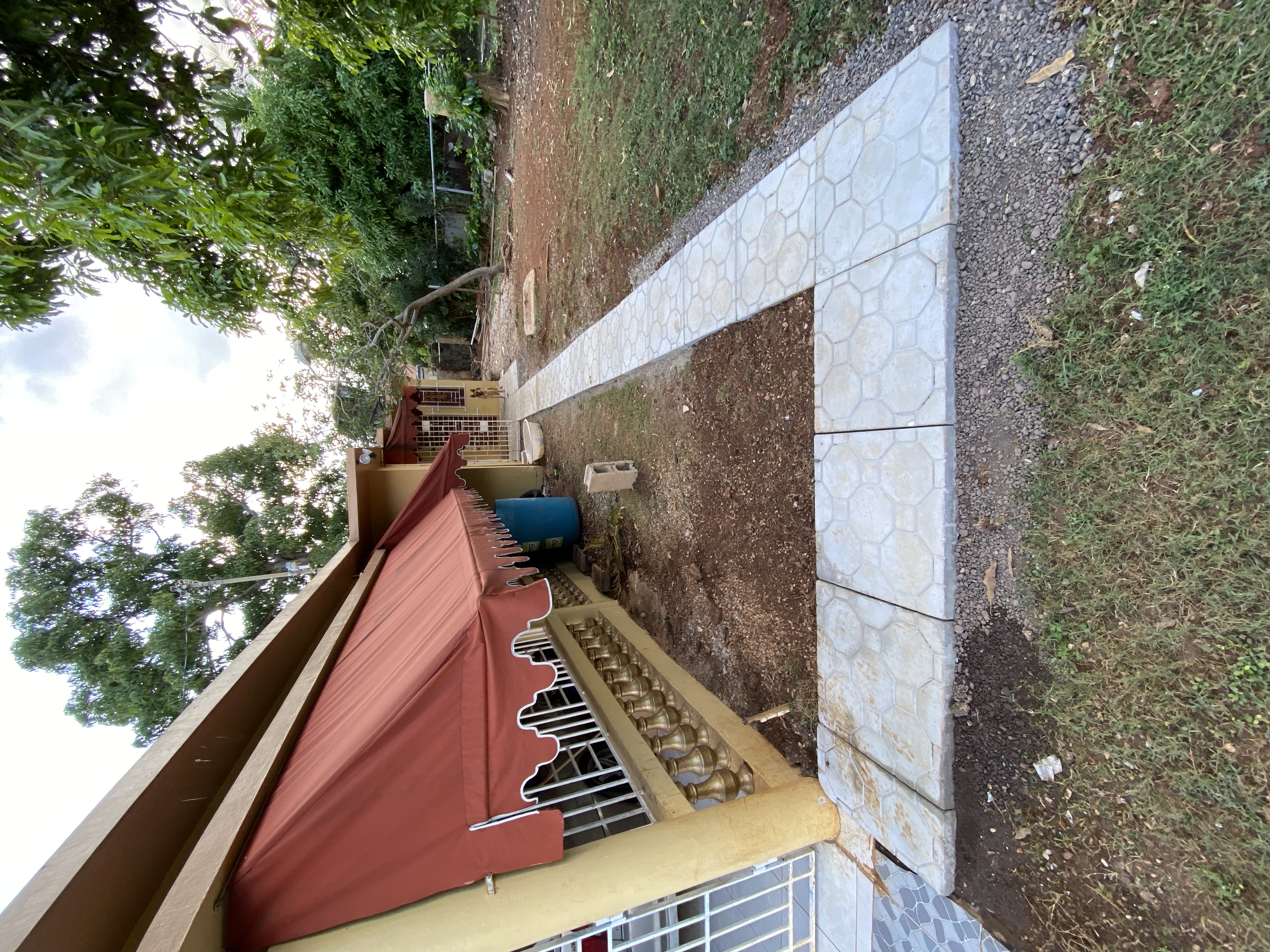 IMG_6960-011123-0329pm