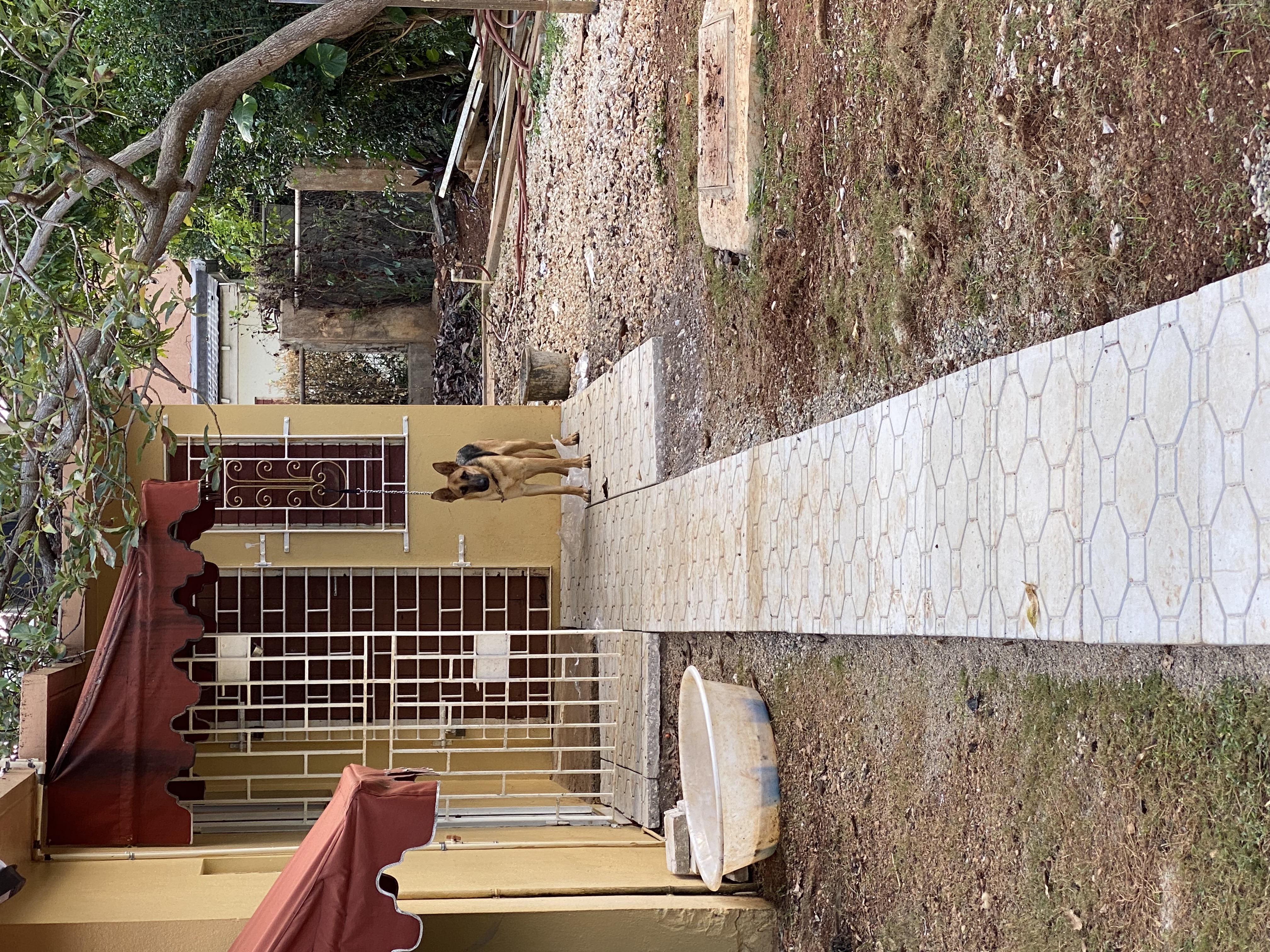 IMG_6961-011123-0329pm