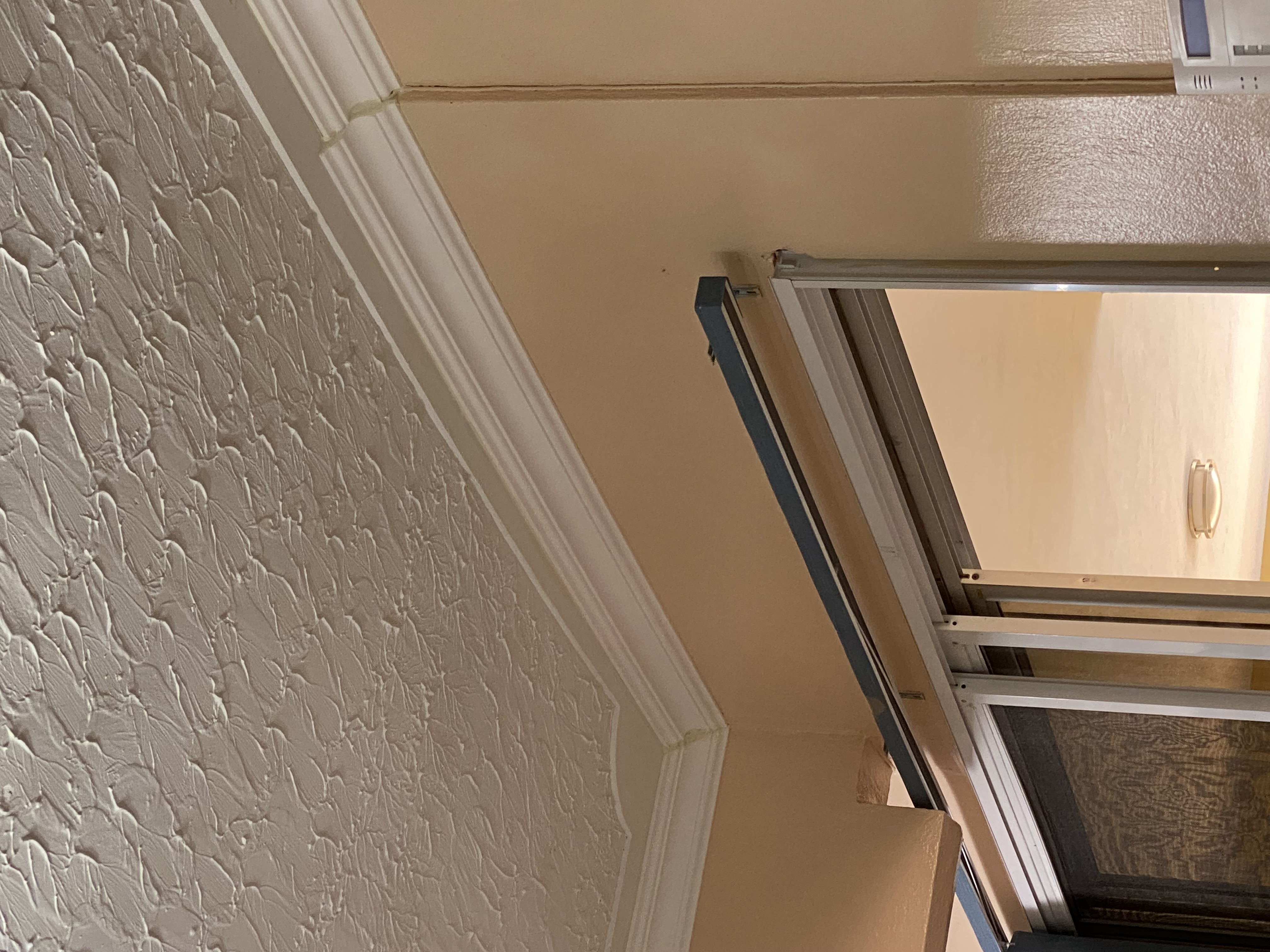 IMG_6963-011123-0340pm