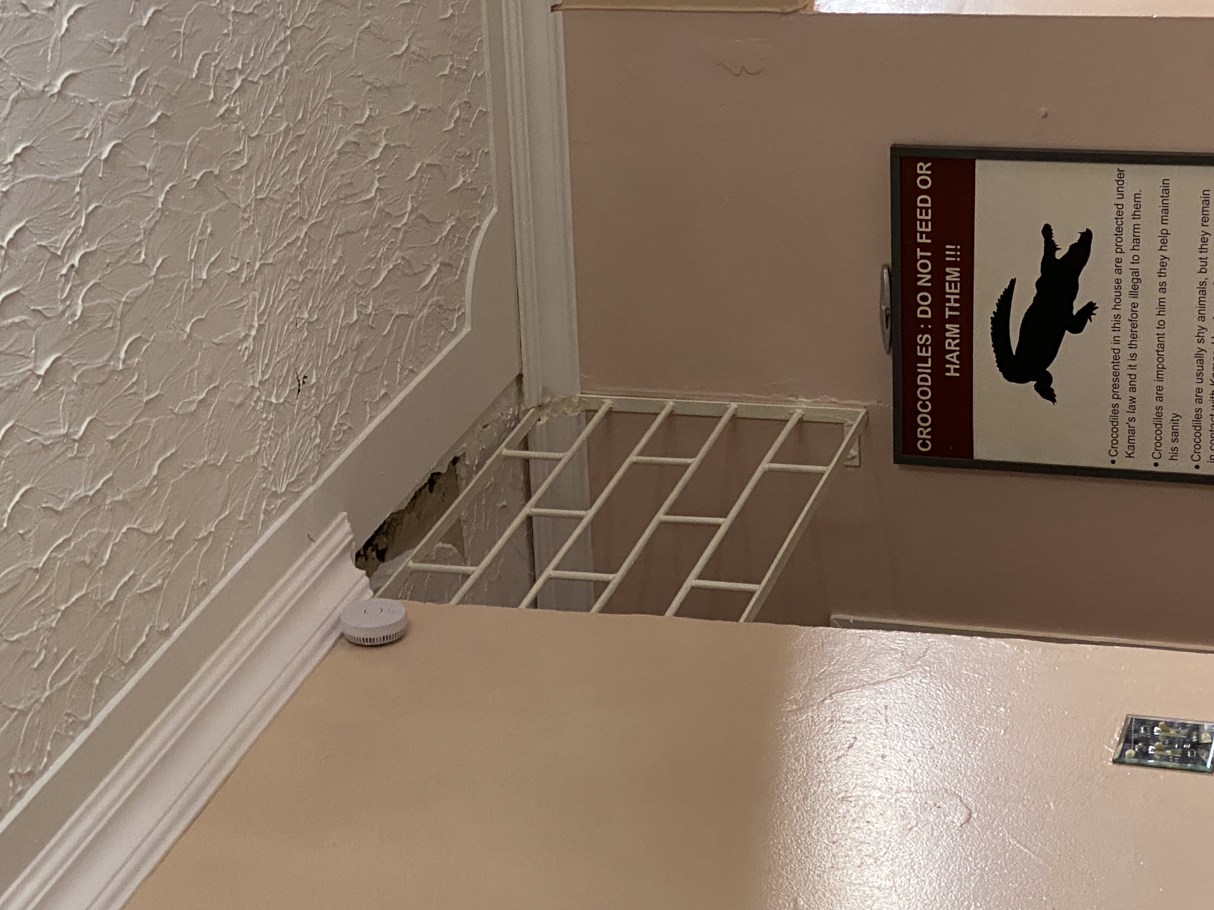 IMG_6964-011123-0340pm